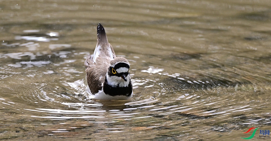 DSC_3674.JPG