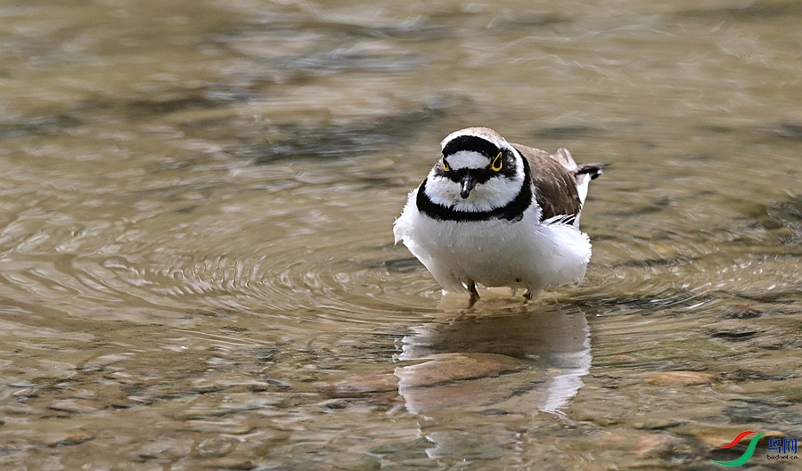 DSC_3689.JPG