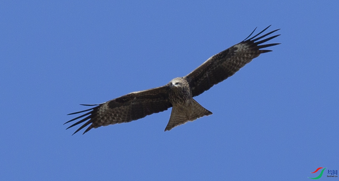 CS3U9025.jpg