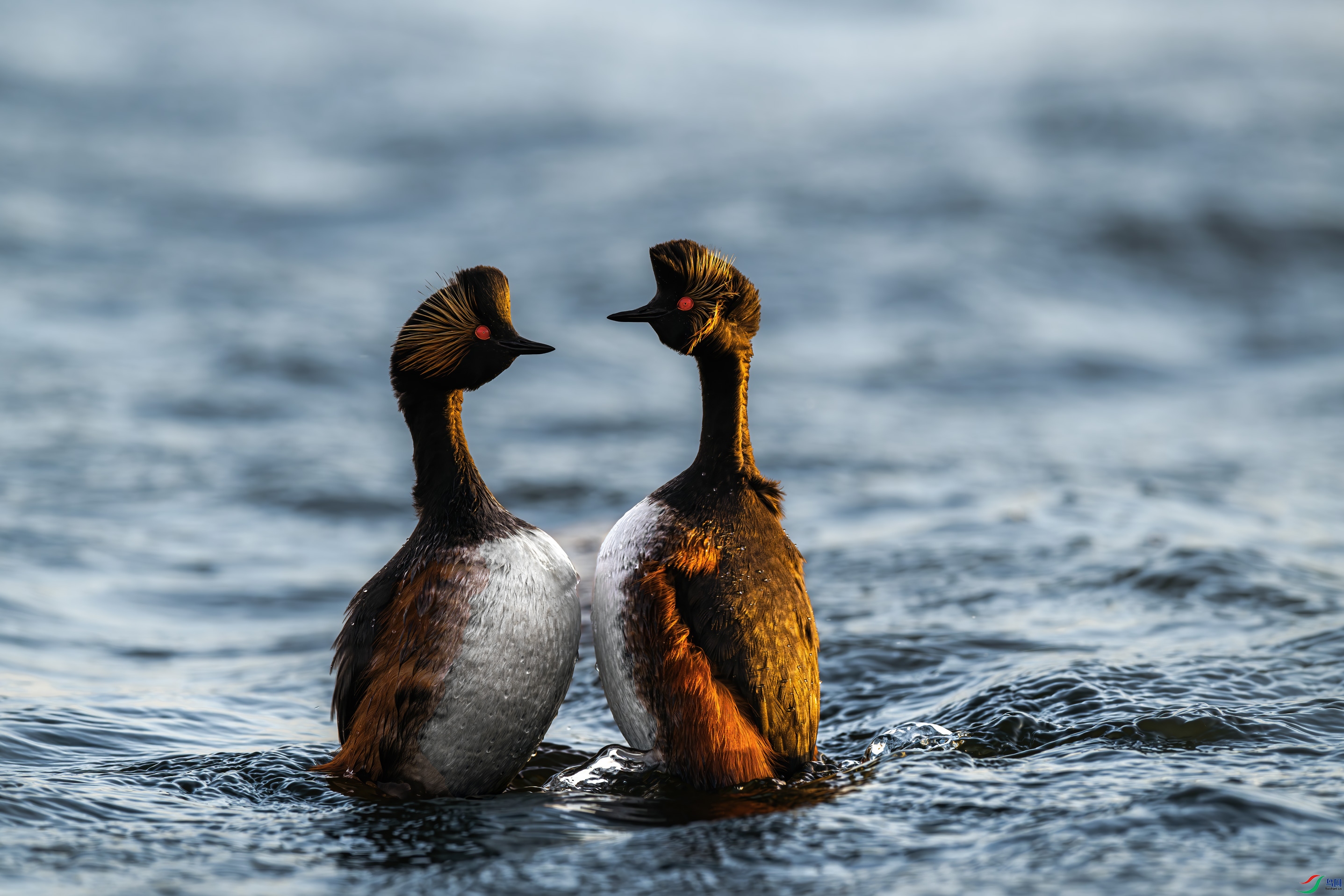 �޾���˵İ���