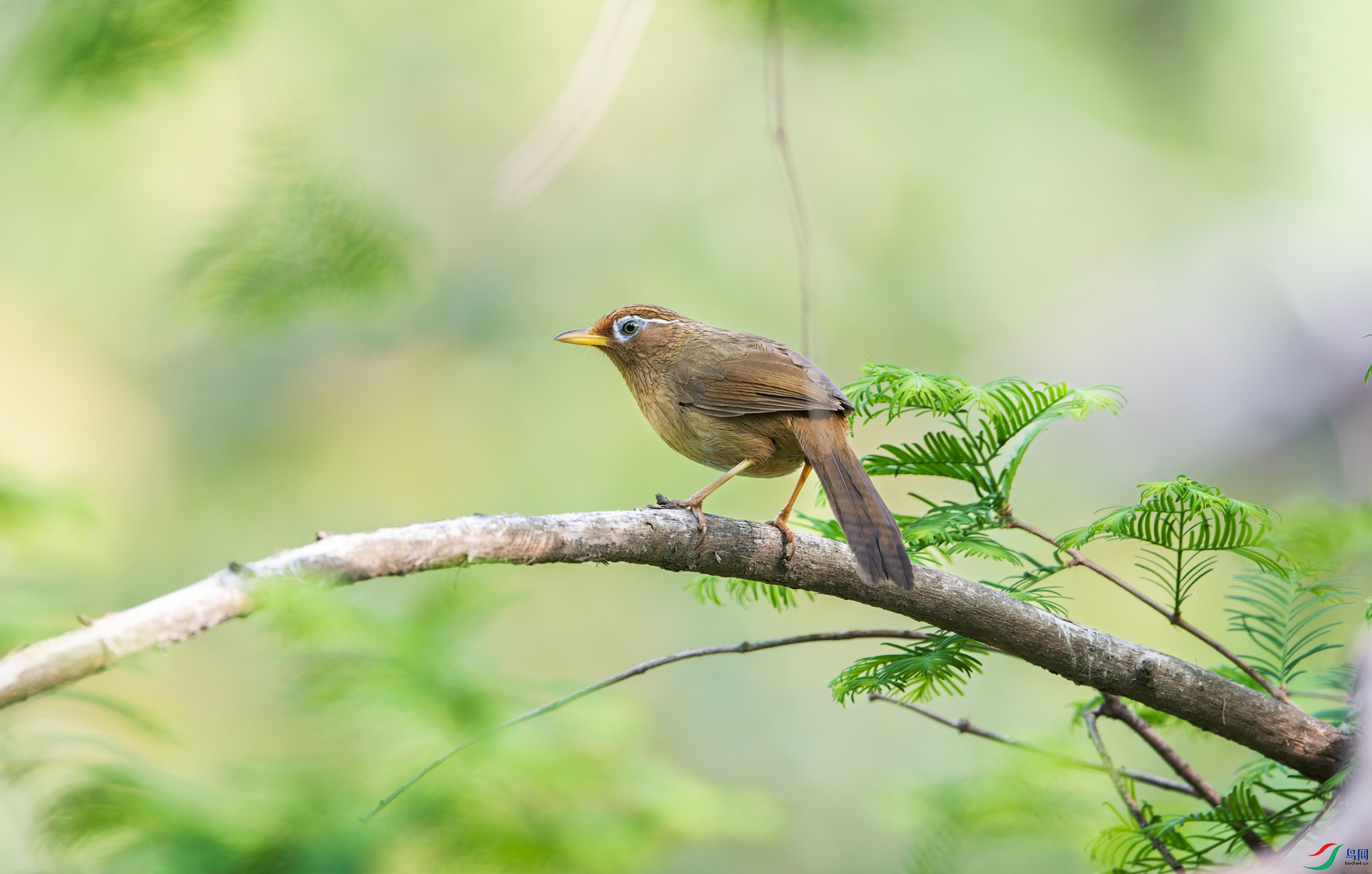 _DSC3048-NEF_DxO_DeepPRIMEXD-1.jpg