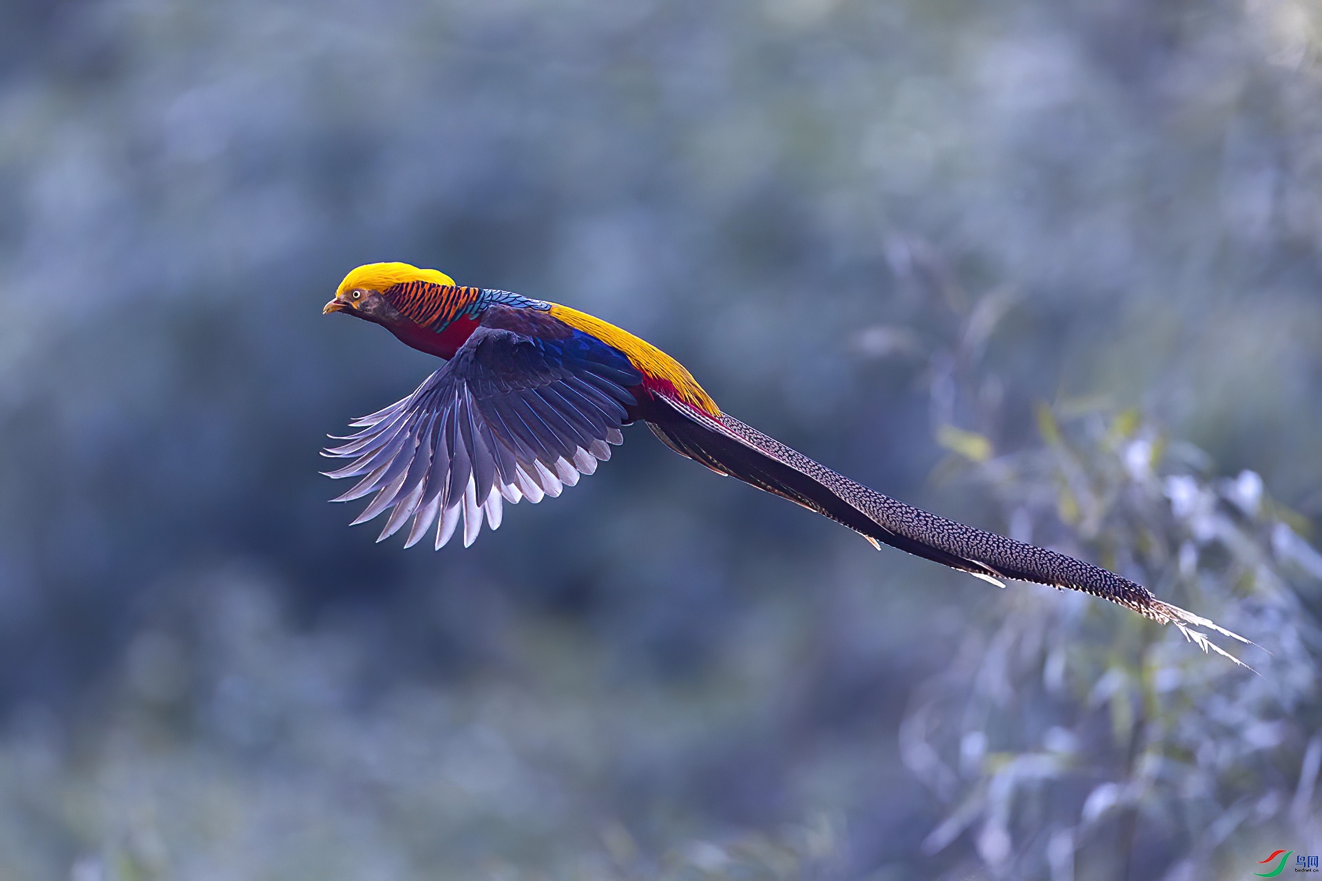 ~�ɡ�����~