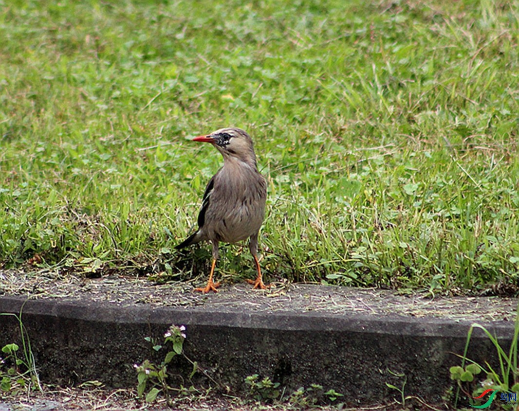 IMG_045.JPG