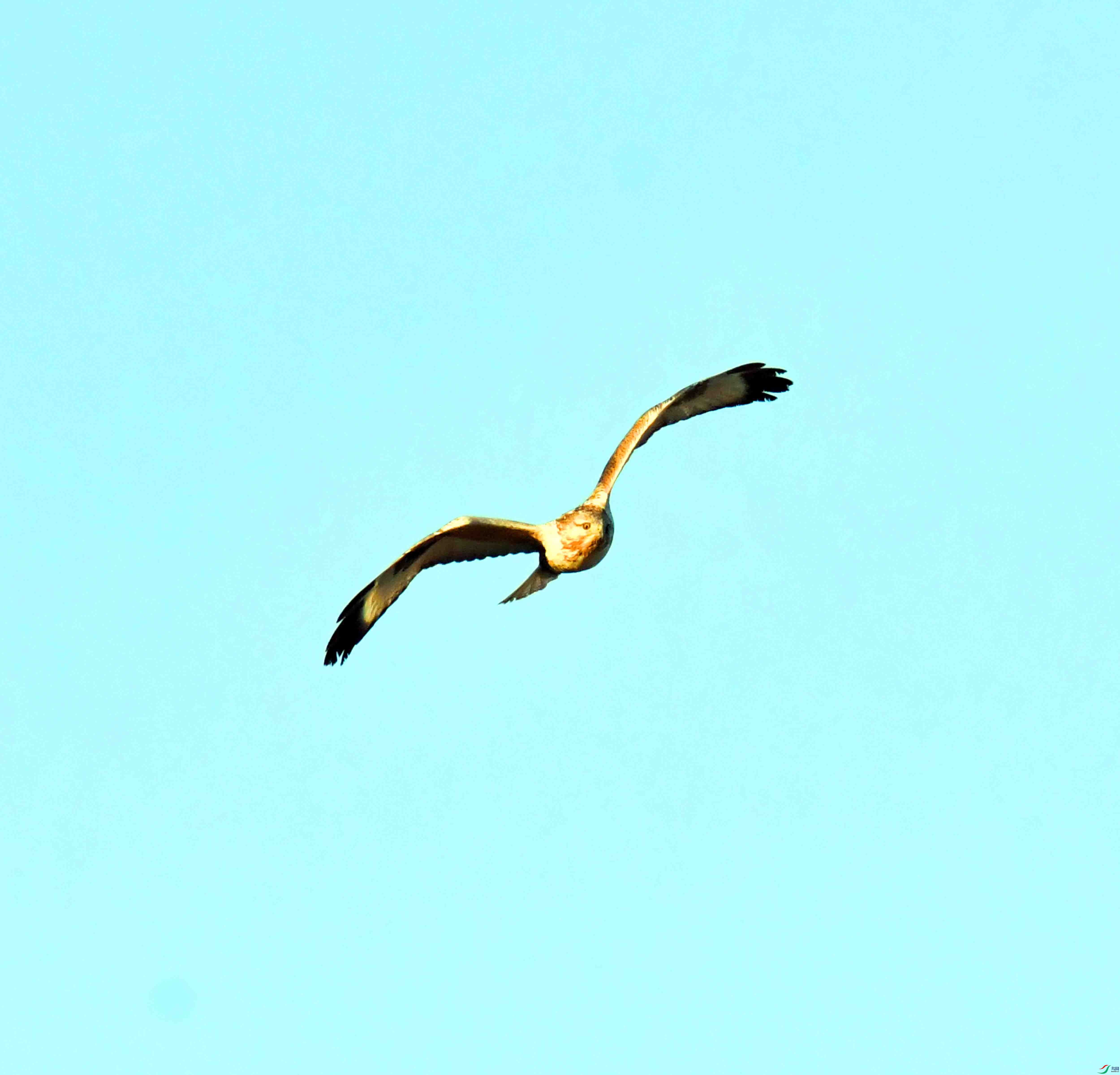 DSC_0349.JPG