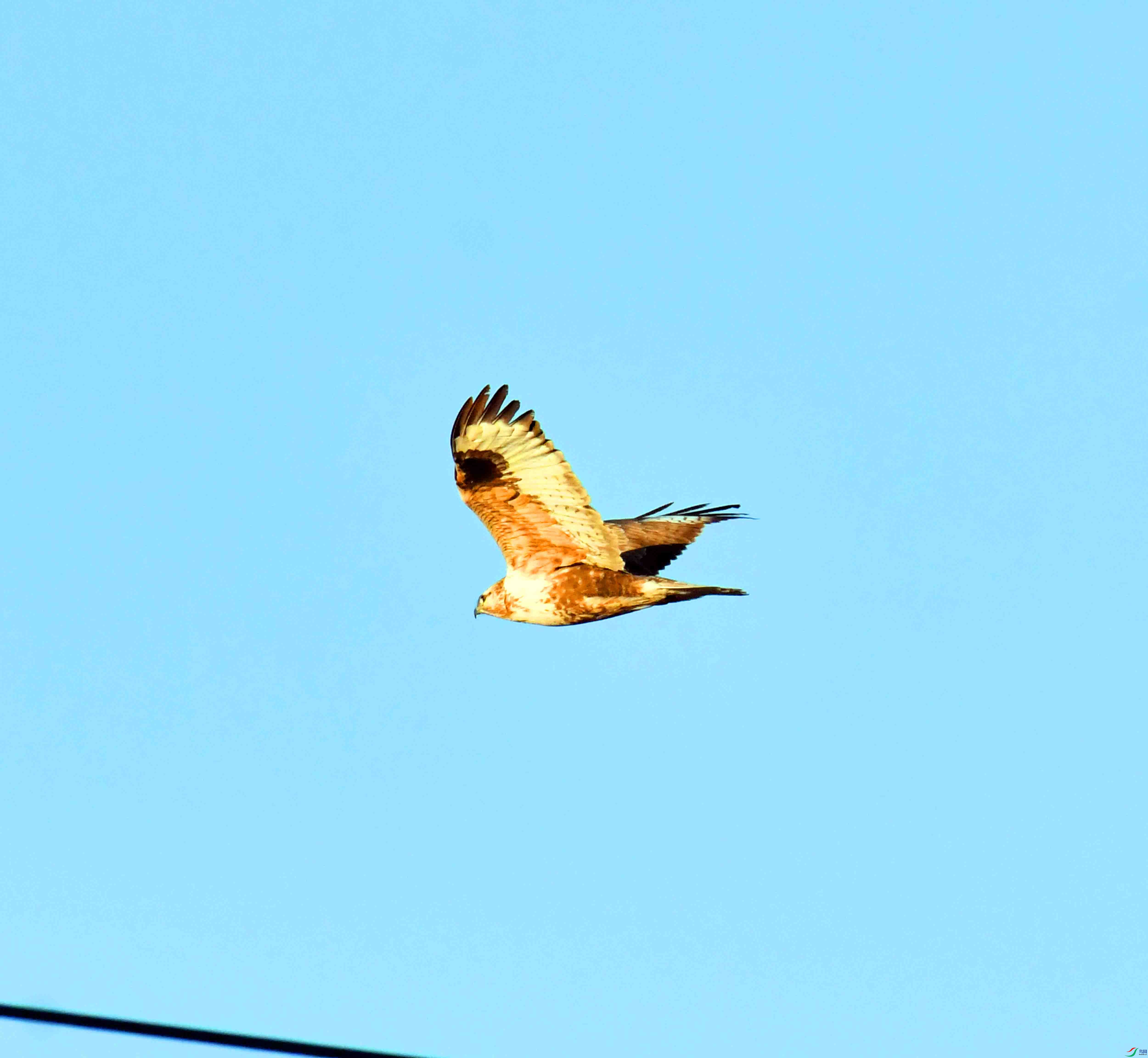 DSC_0339.JPG