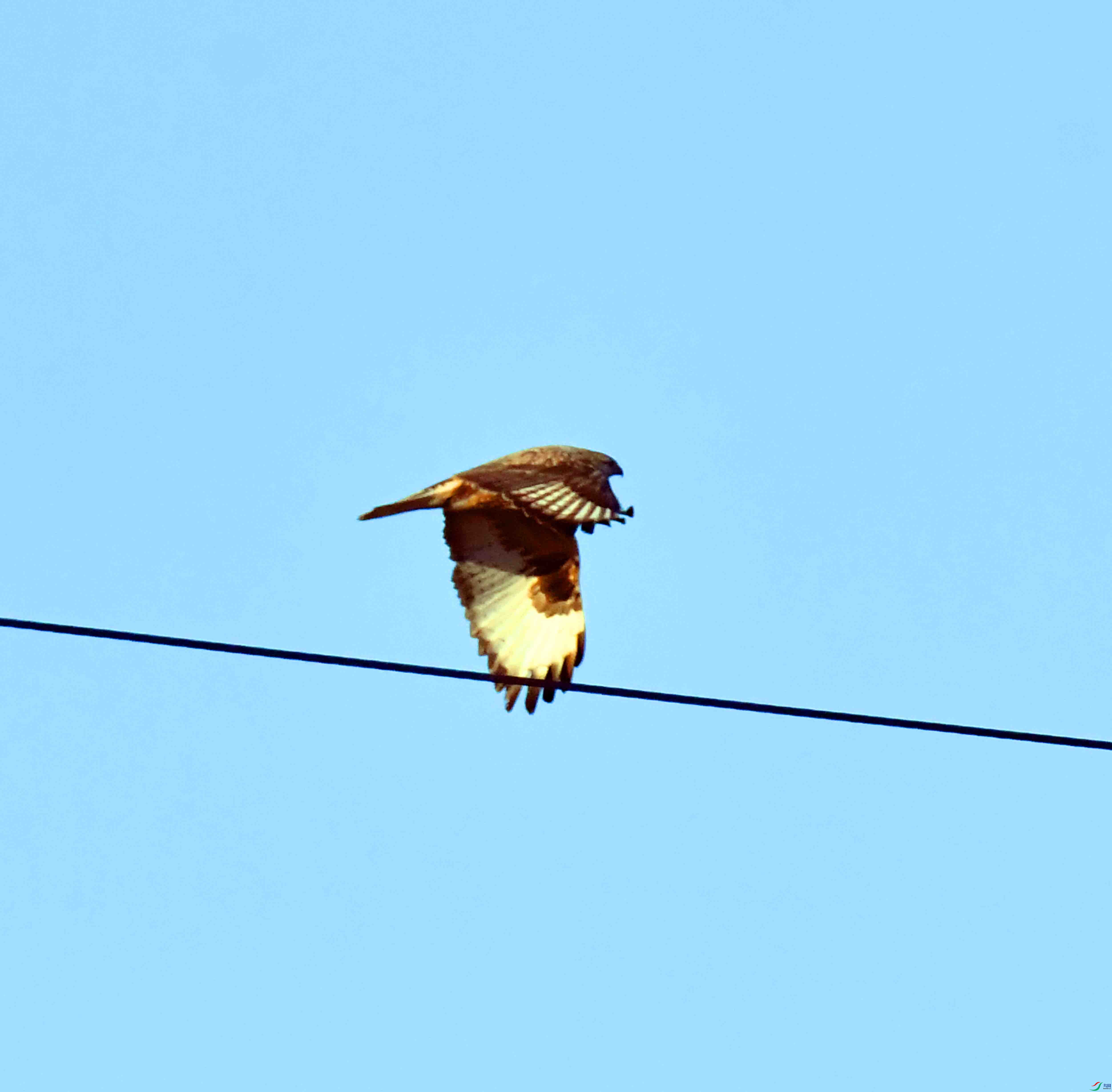 DSC_0393.JPG