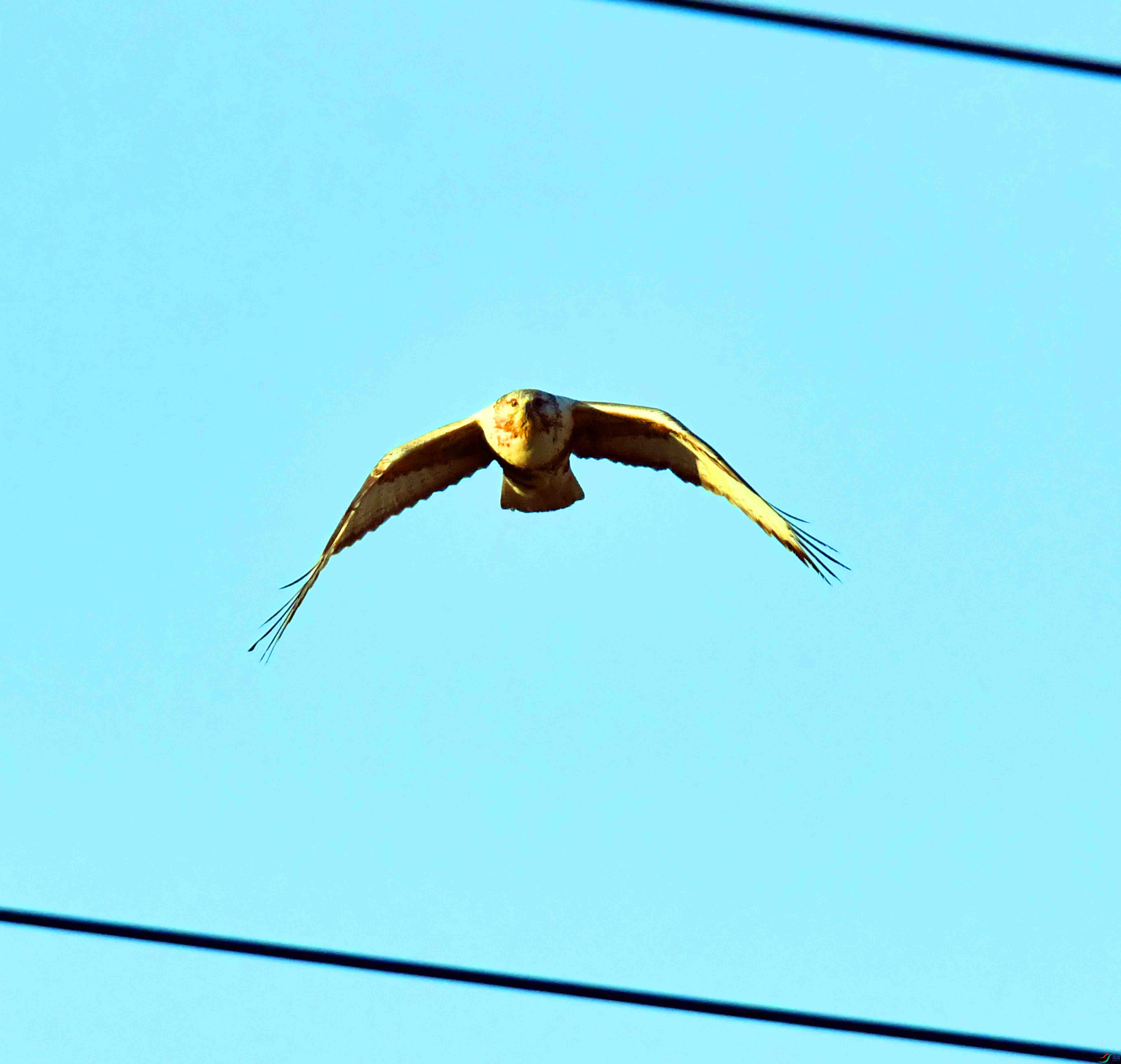 DSC_0358.JPG