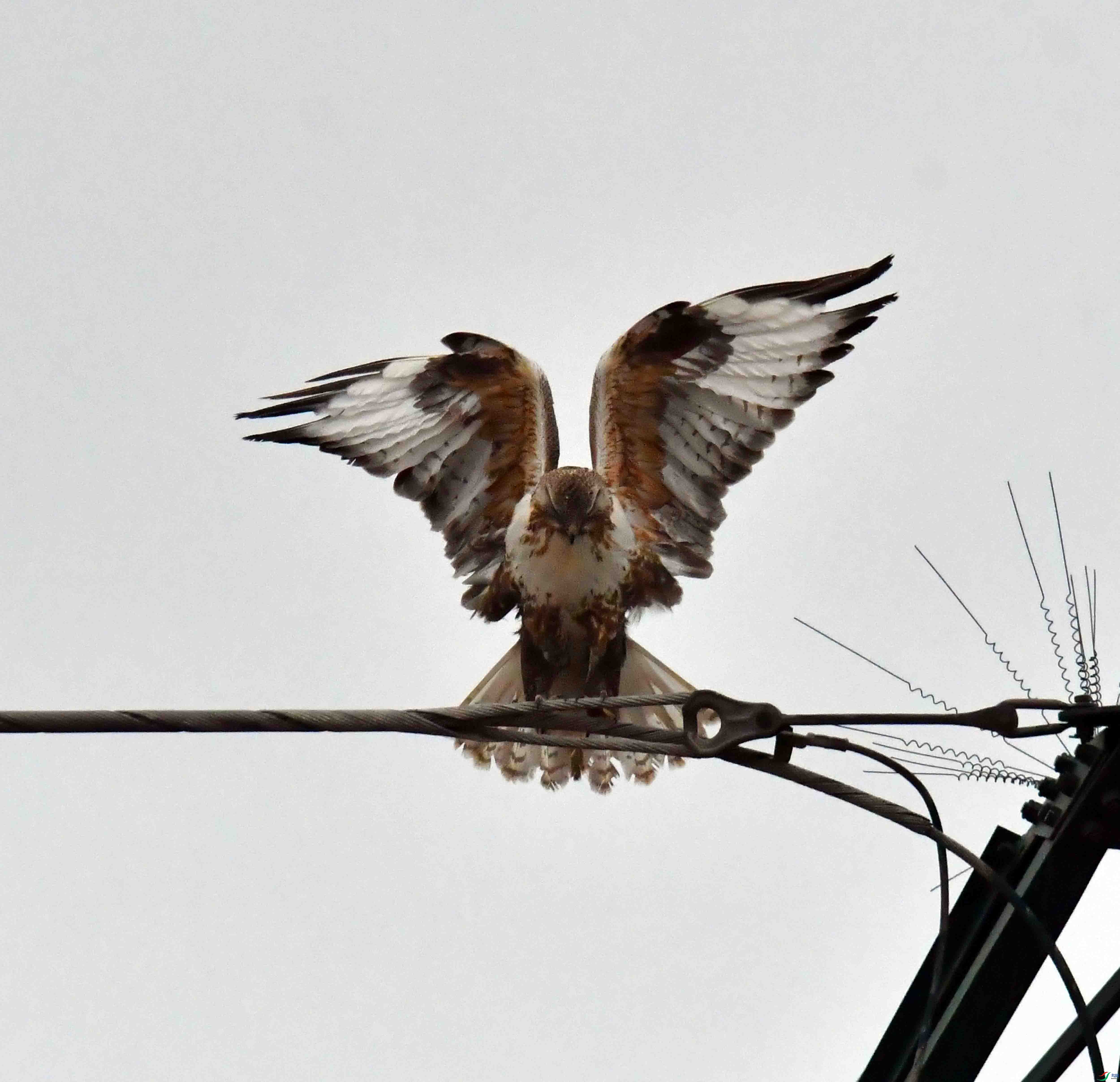 DSC_1007.JPG
