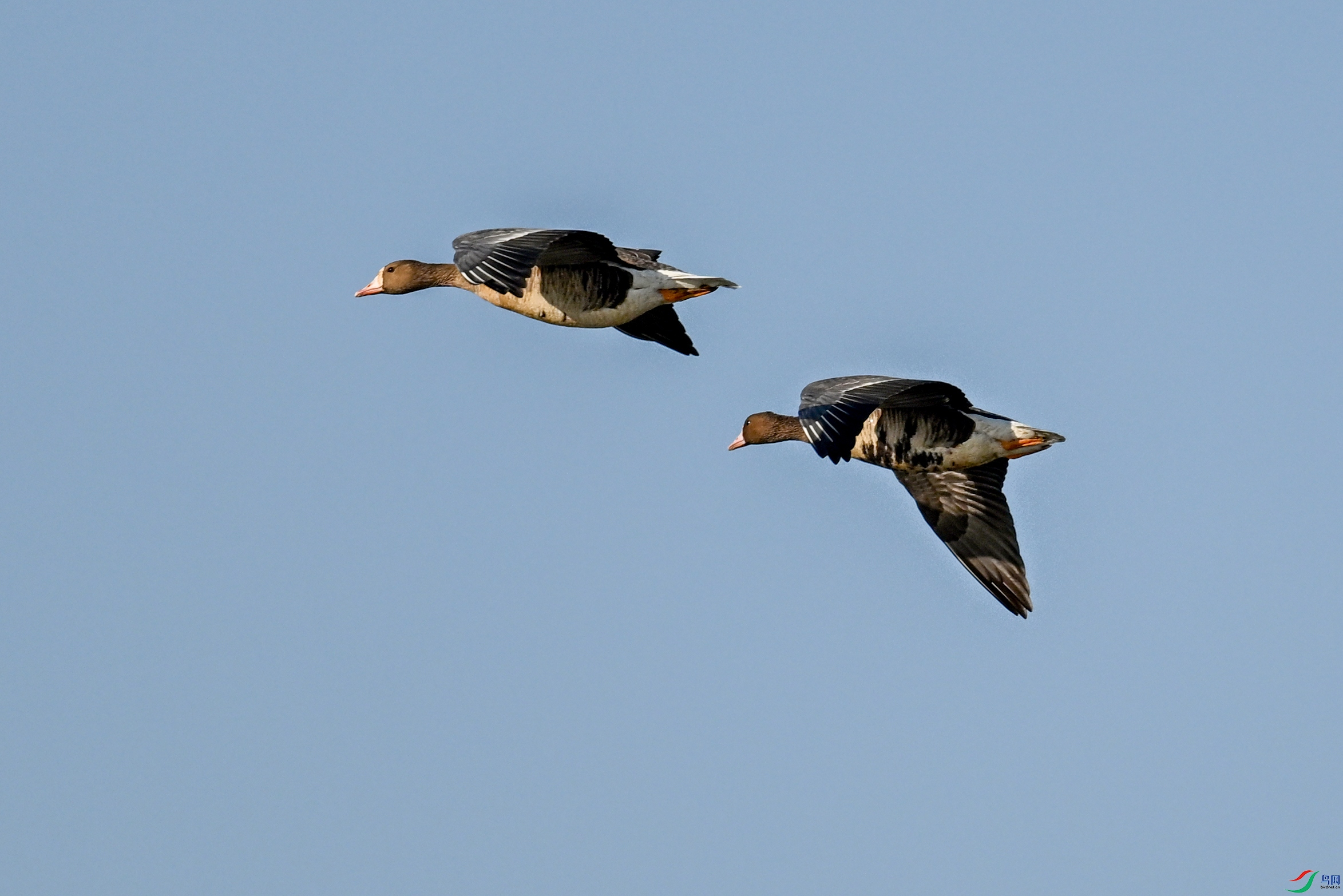 DSC_8457.JPG