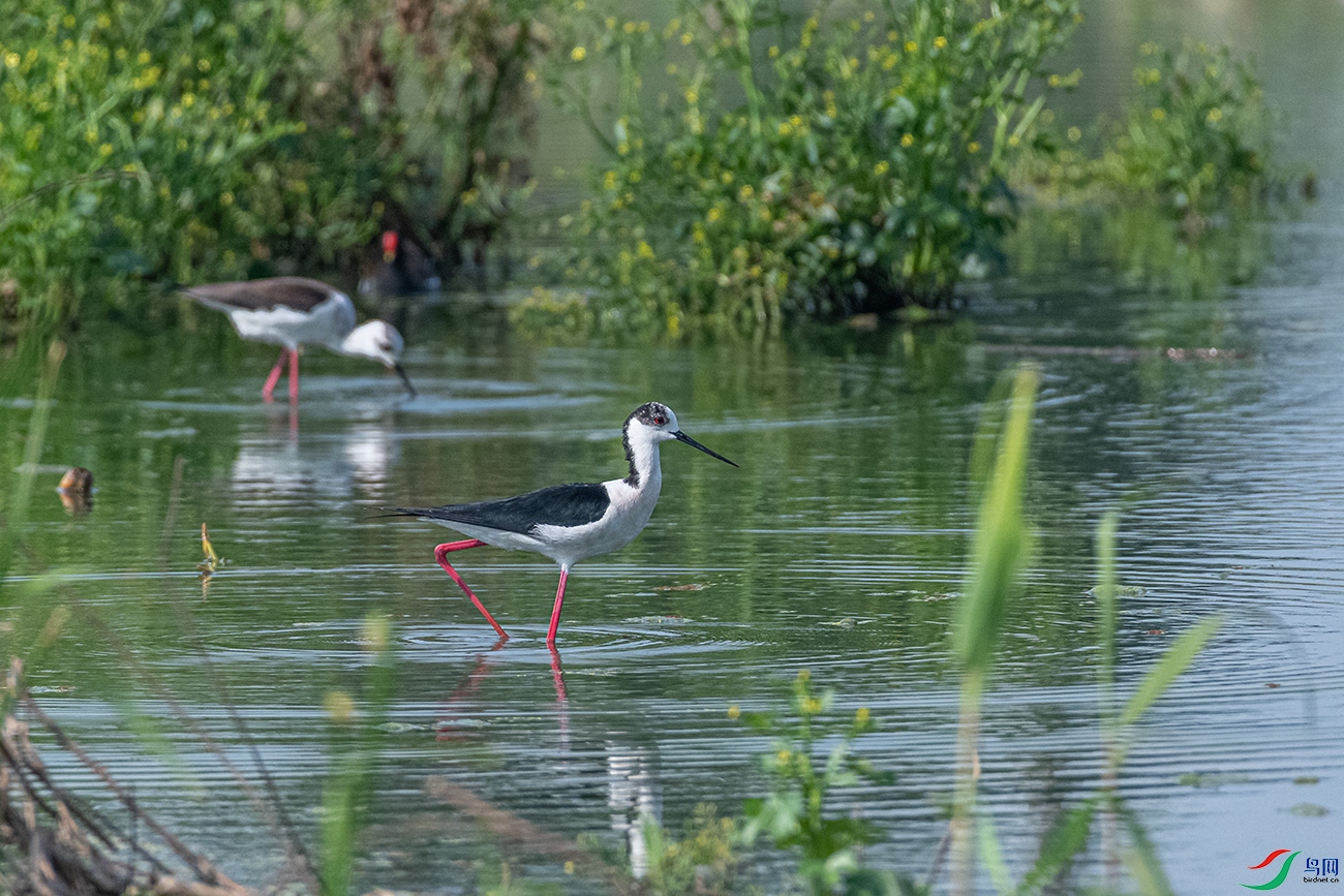 DSC_5924.jpg