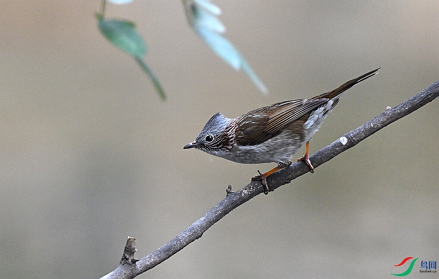 DSC_5287.JPG