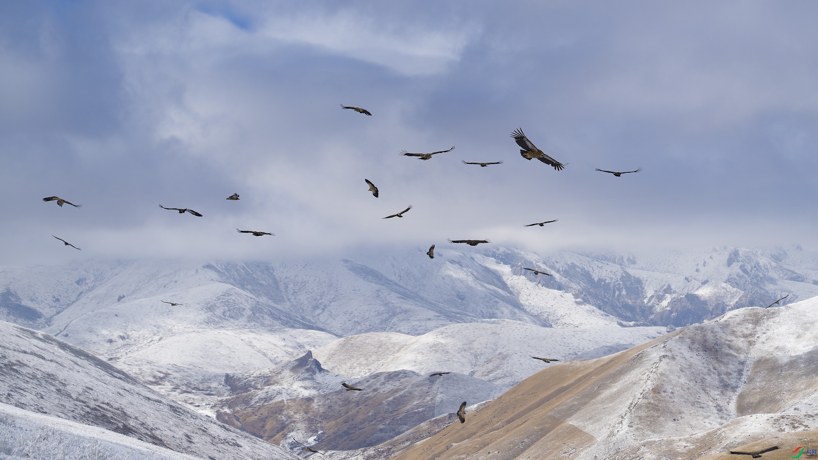 DSC_4880_DxO.jpg