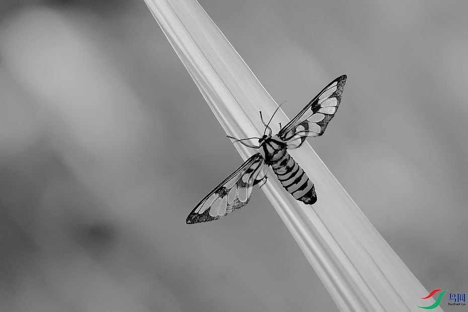 DSC_7408.JPG