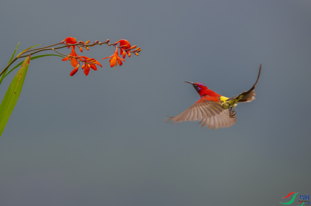 �������ѡ���ӭ�����衷���ٻ����Ѿ�������ɽ���� 25.png