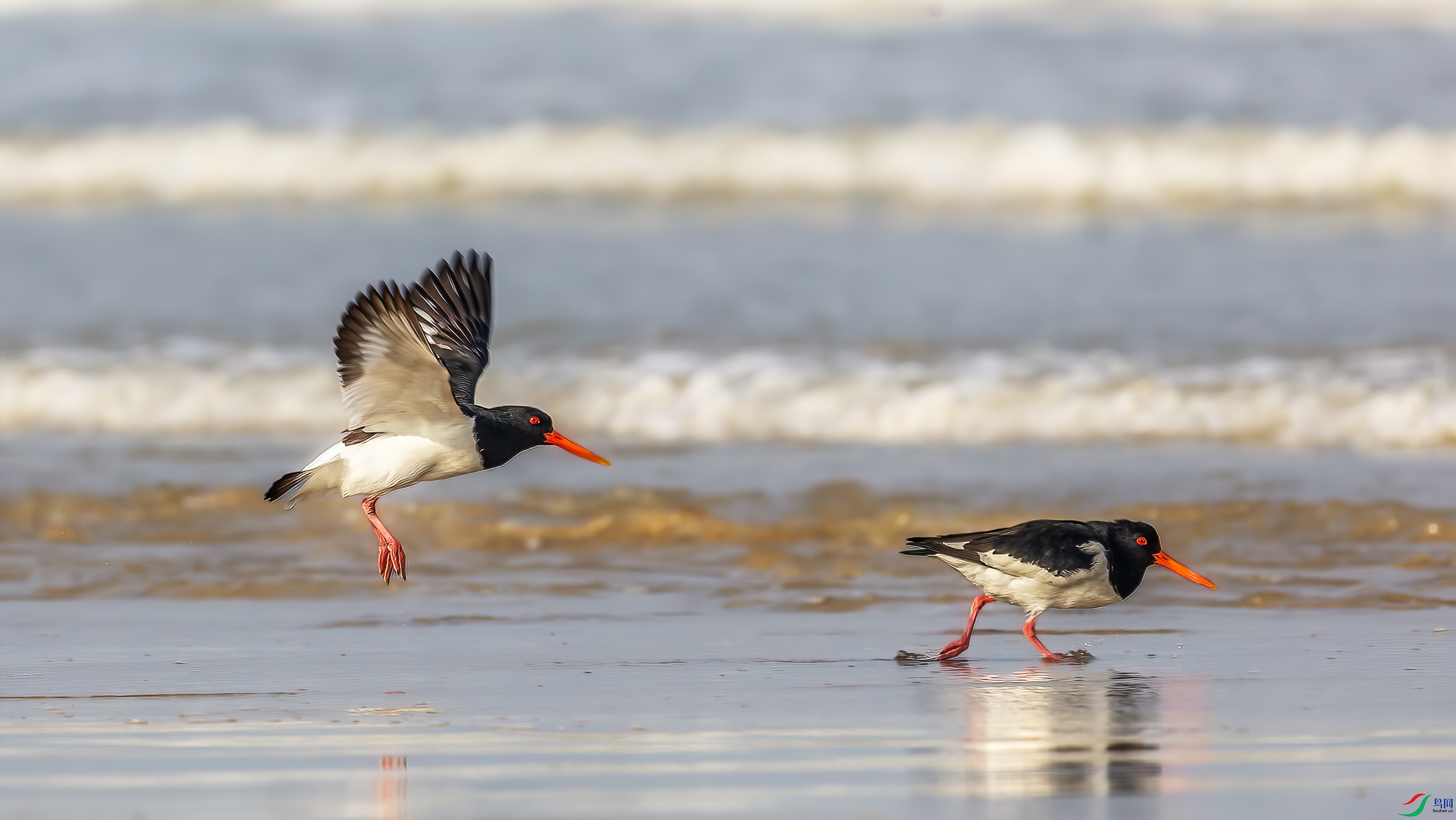 C09R6824 ����.jpg