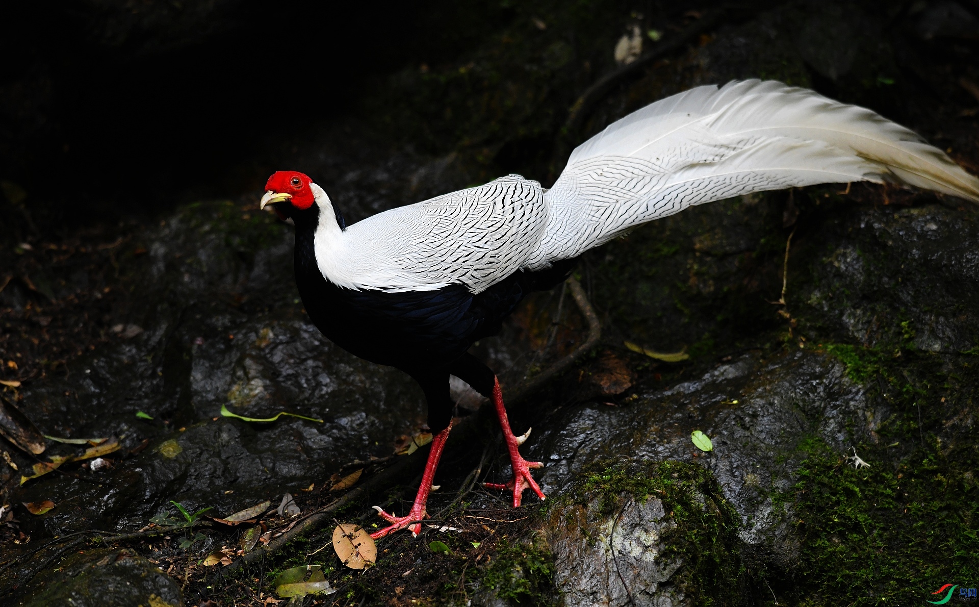 DSC_6220.jpg