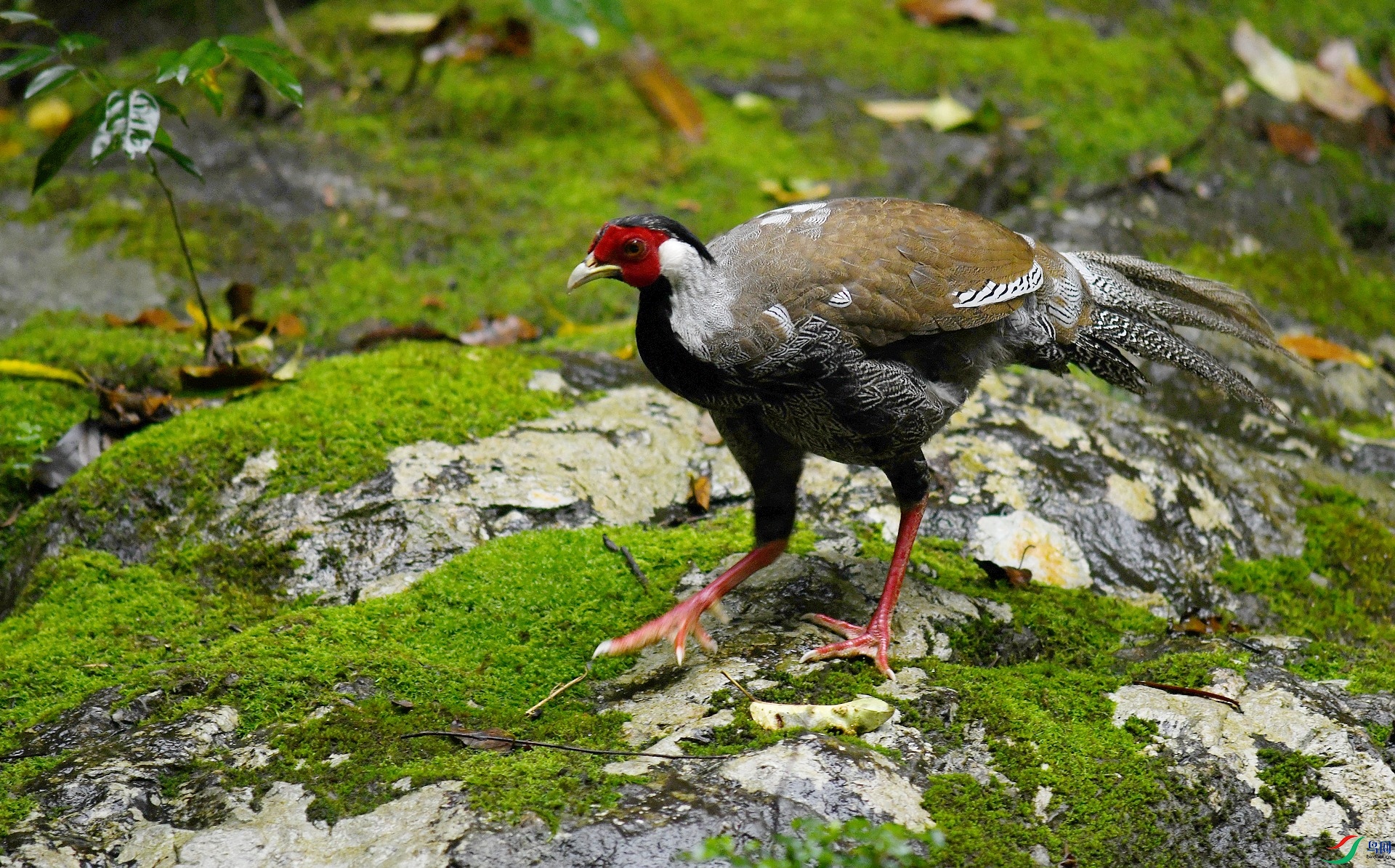 DSC_6291.jpg