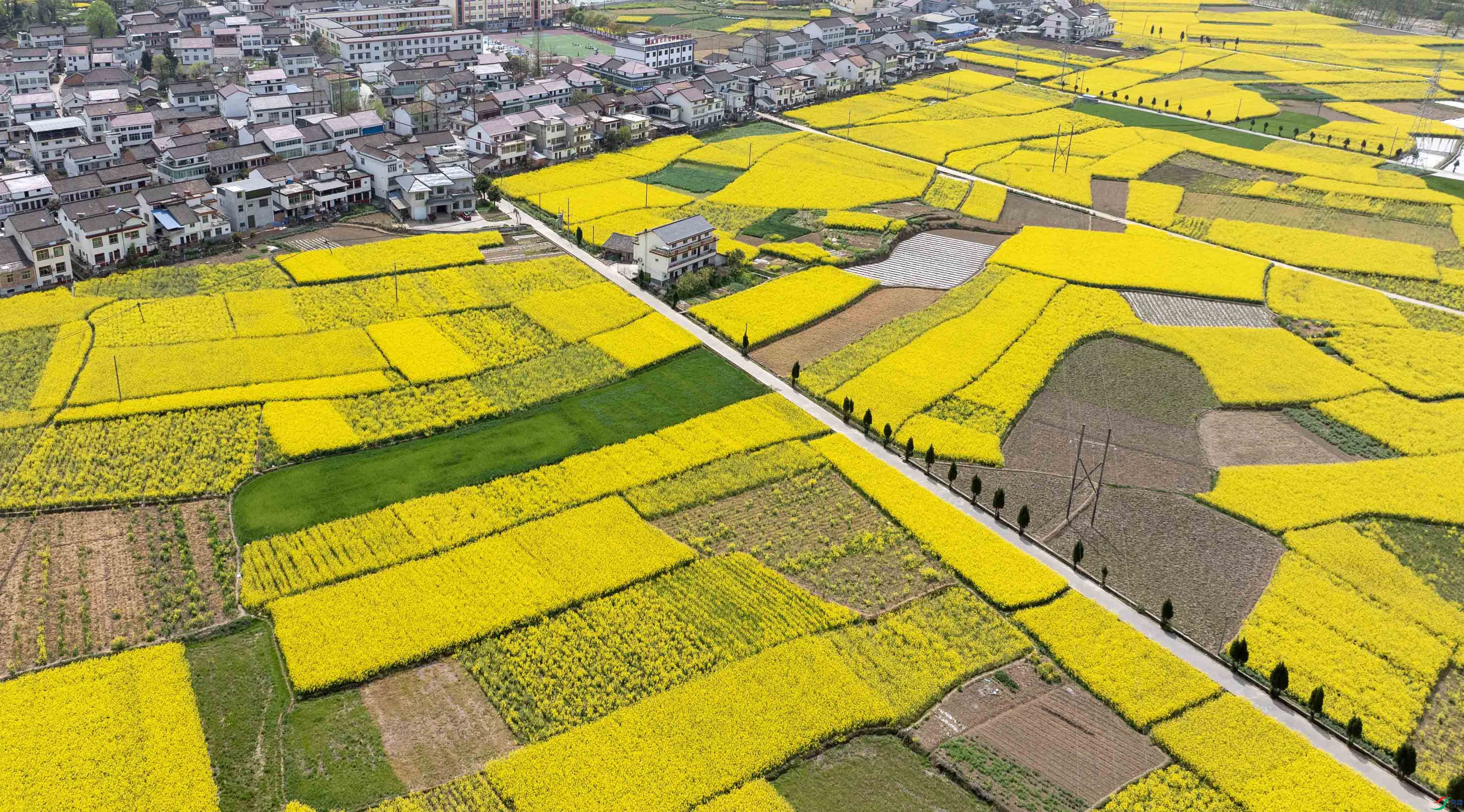 1-xtDJI_20250402123424_0045_D ���� 2.jpg