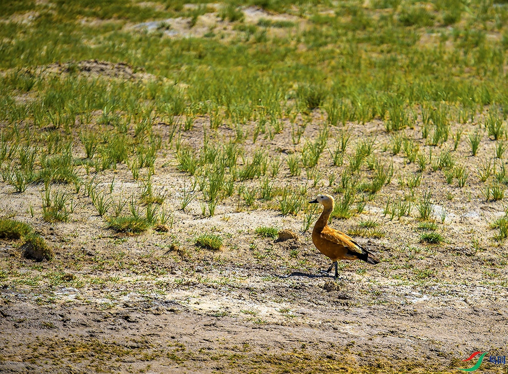 _DSC5988.jpg