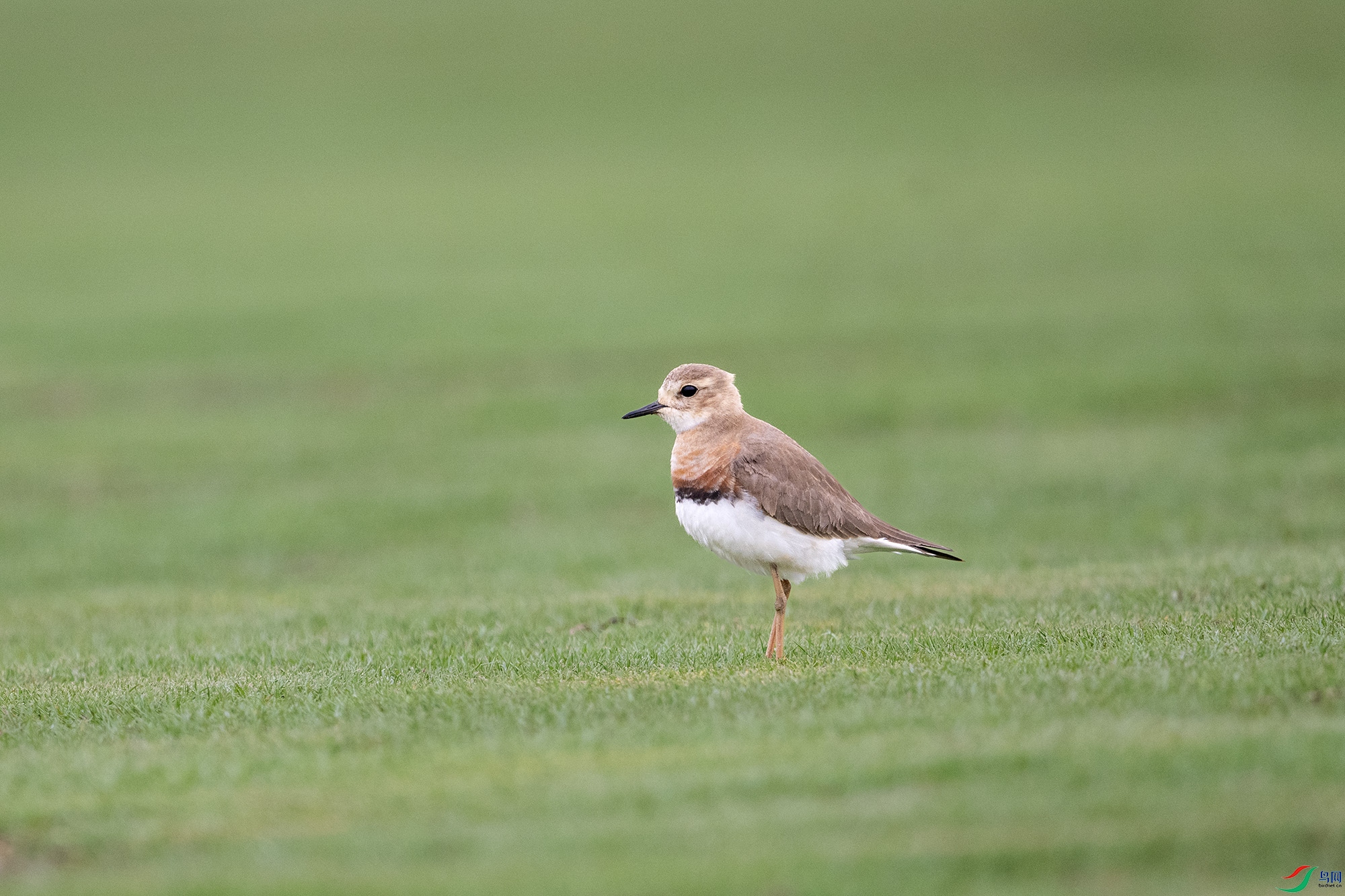 DSC_7186.jpg