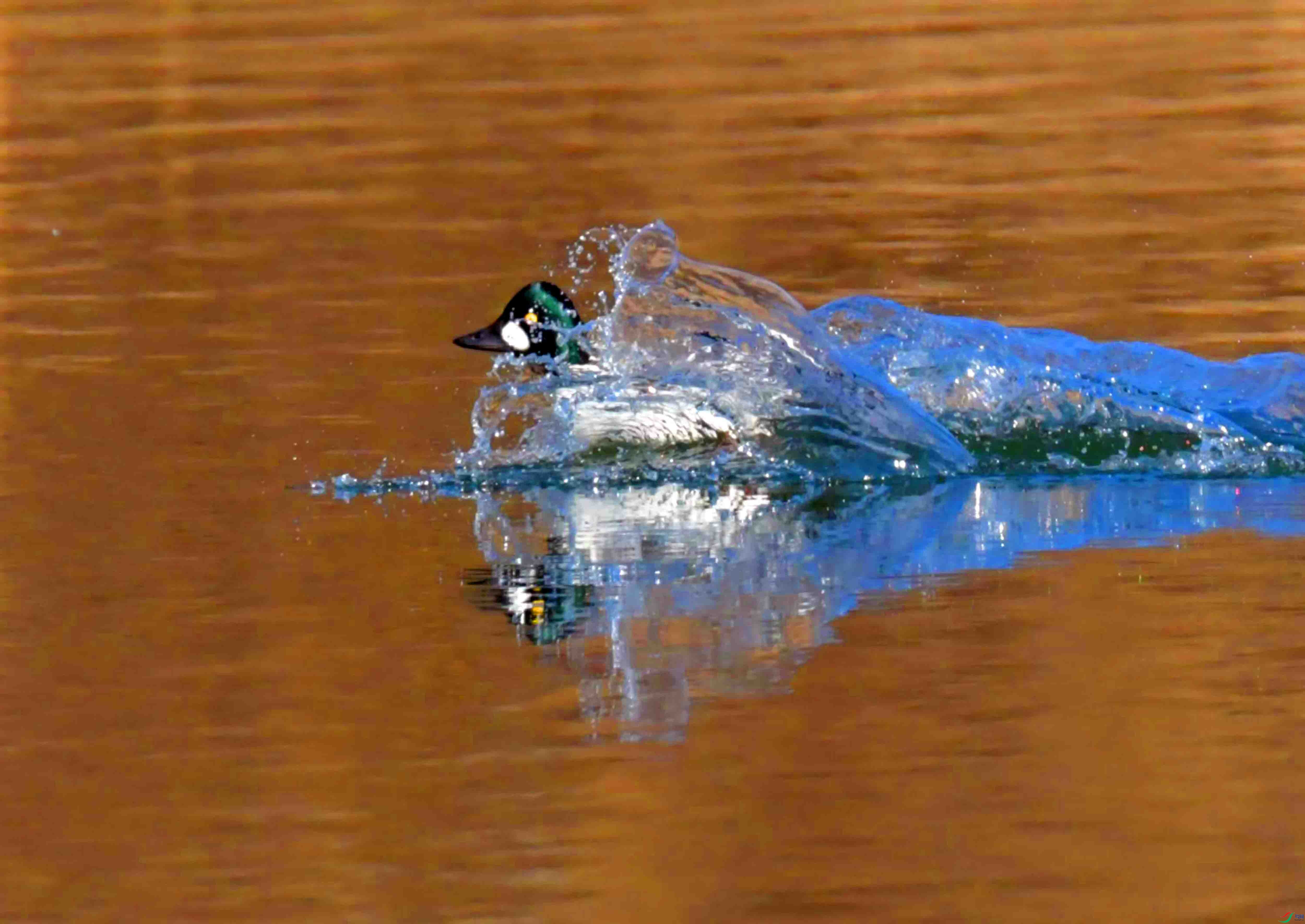 DSC_6281.JPG