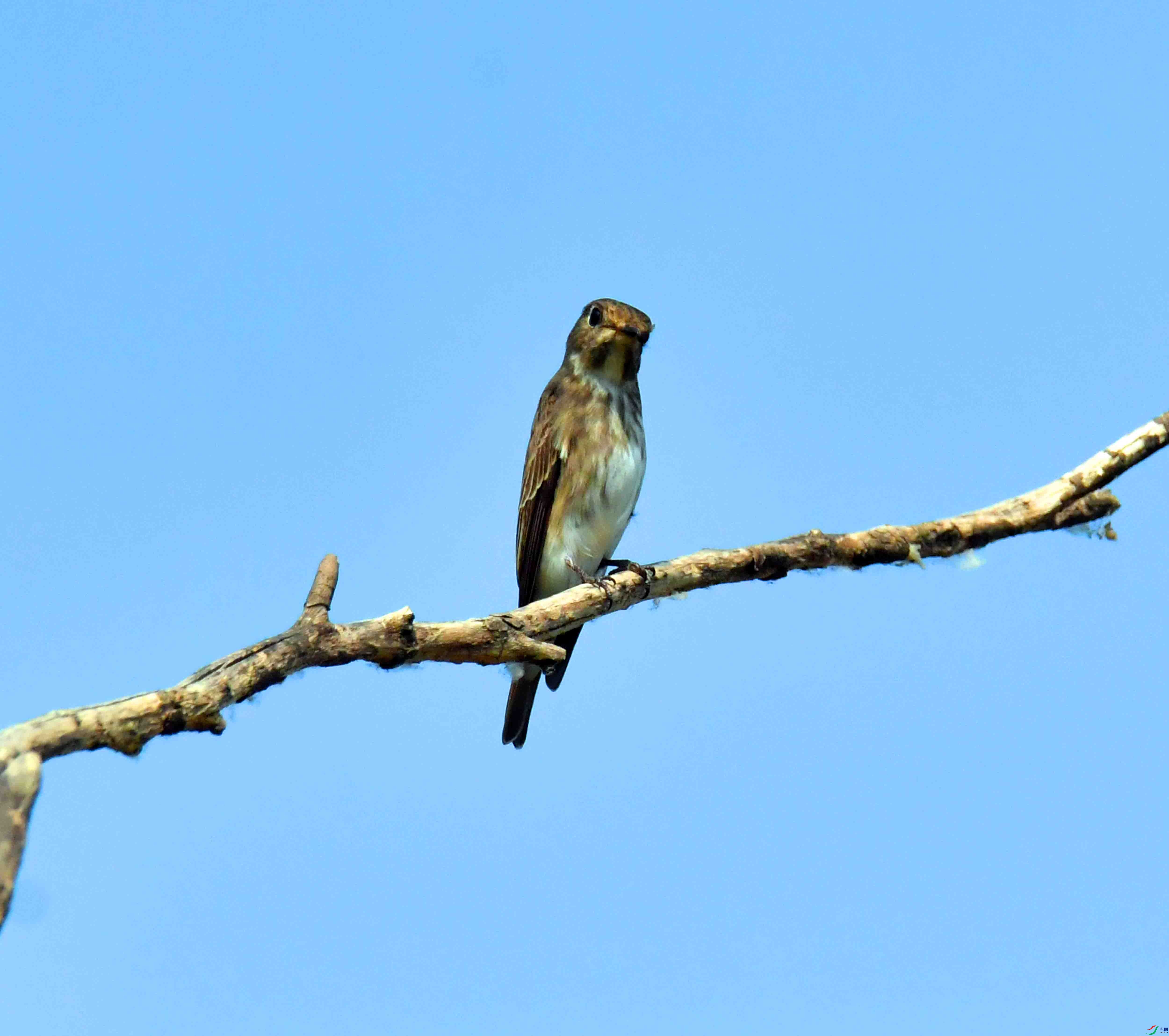 DSC_2090.JPG