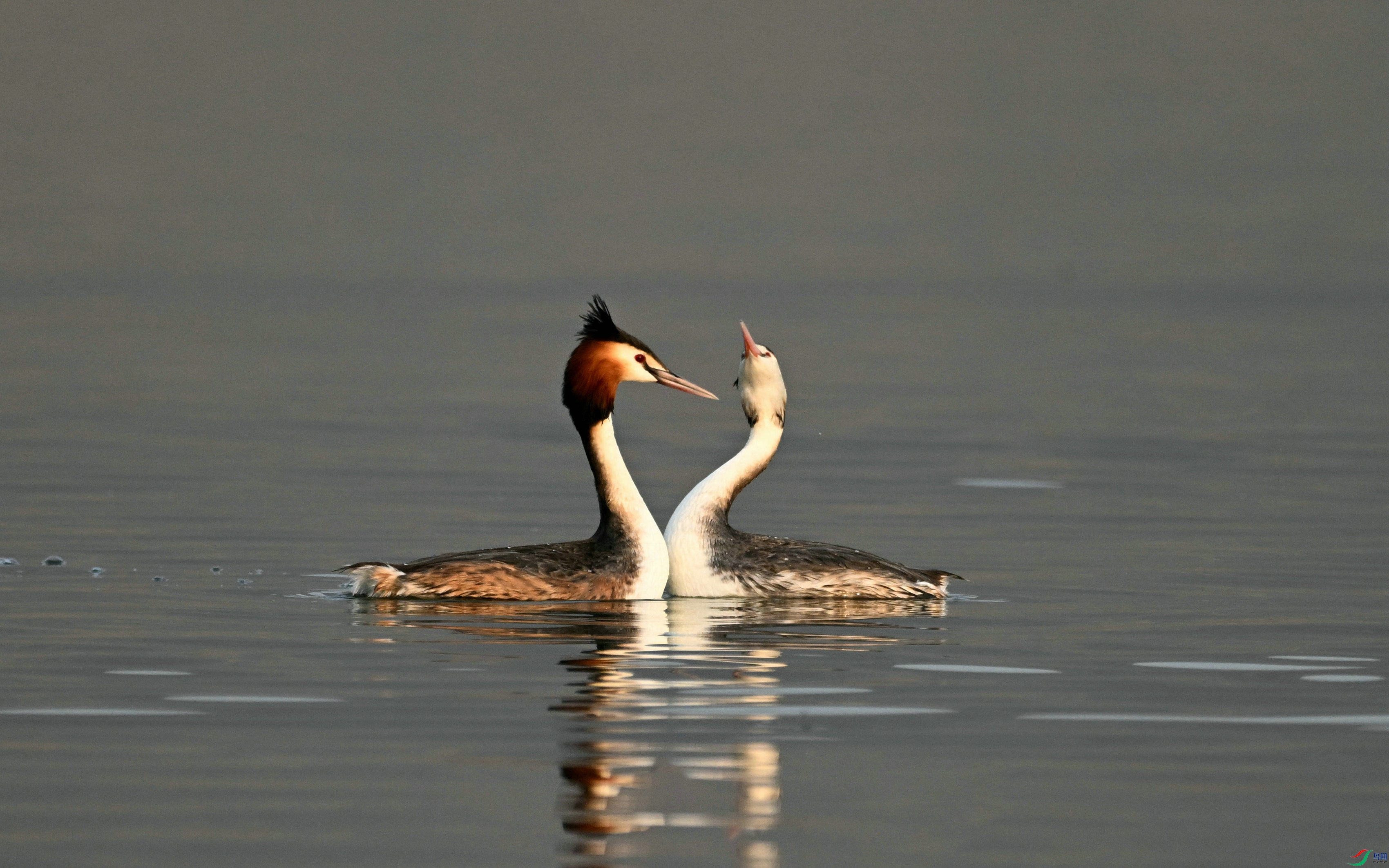 DSC_5942.JPG