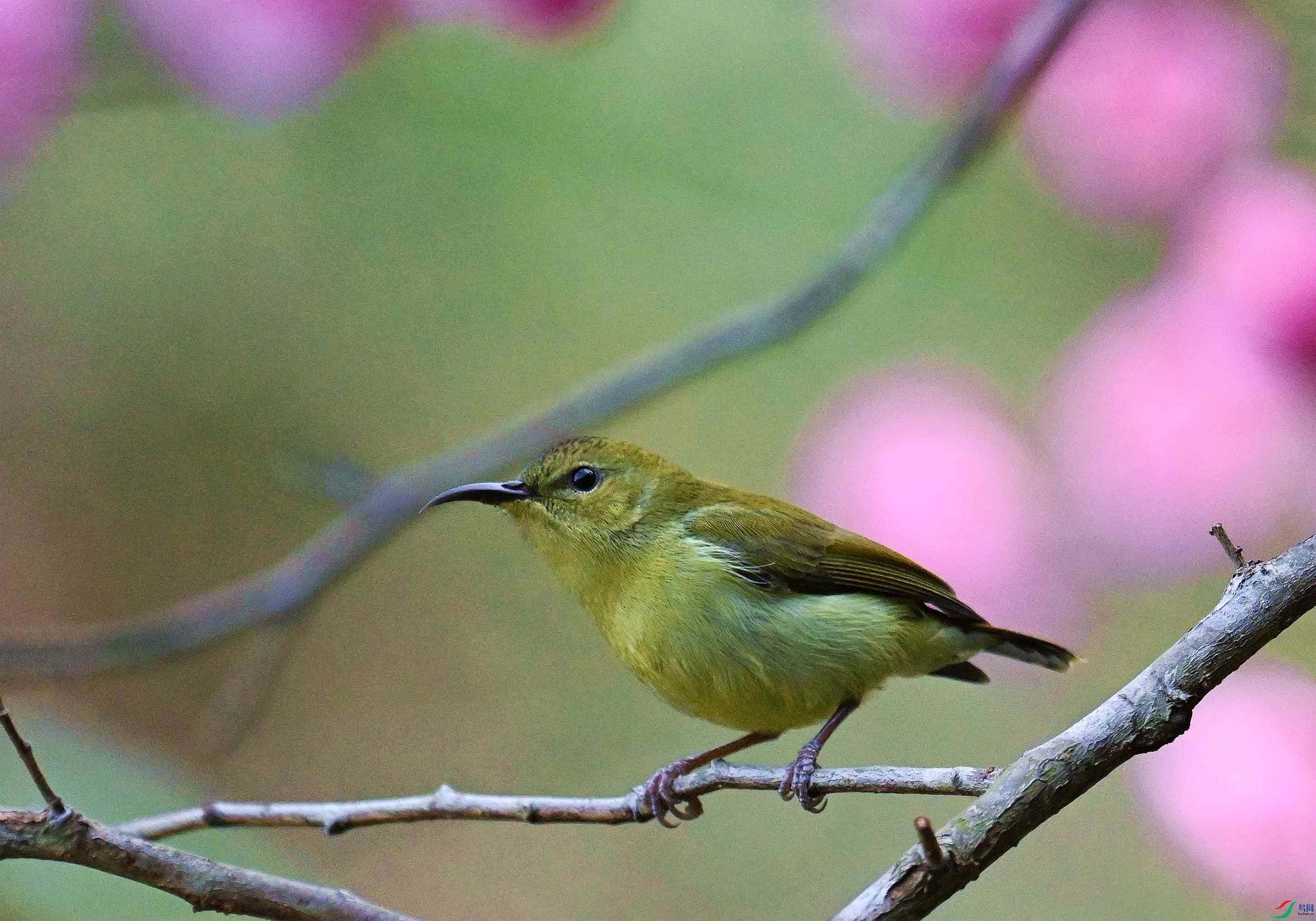 DSC_0721.jpg