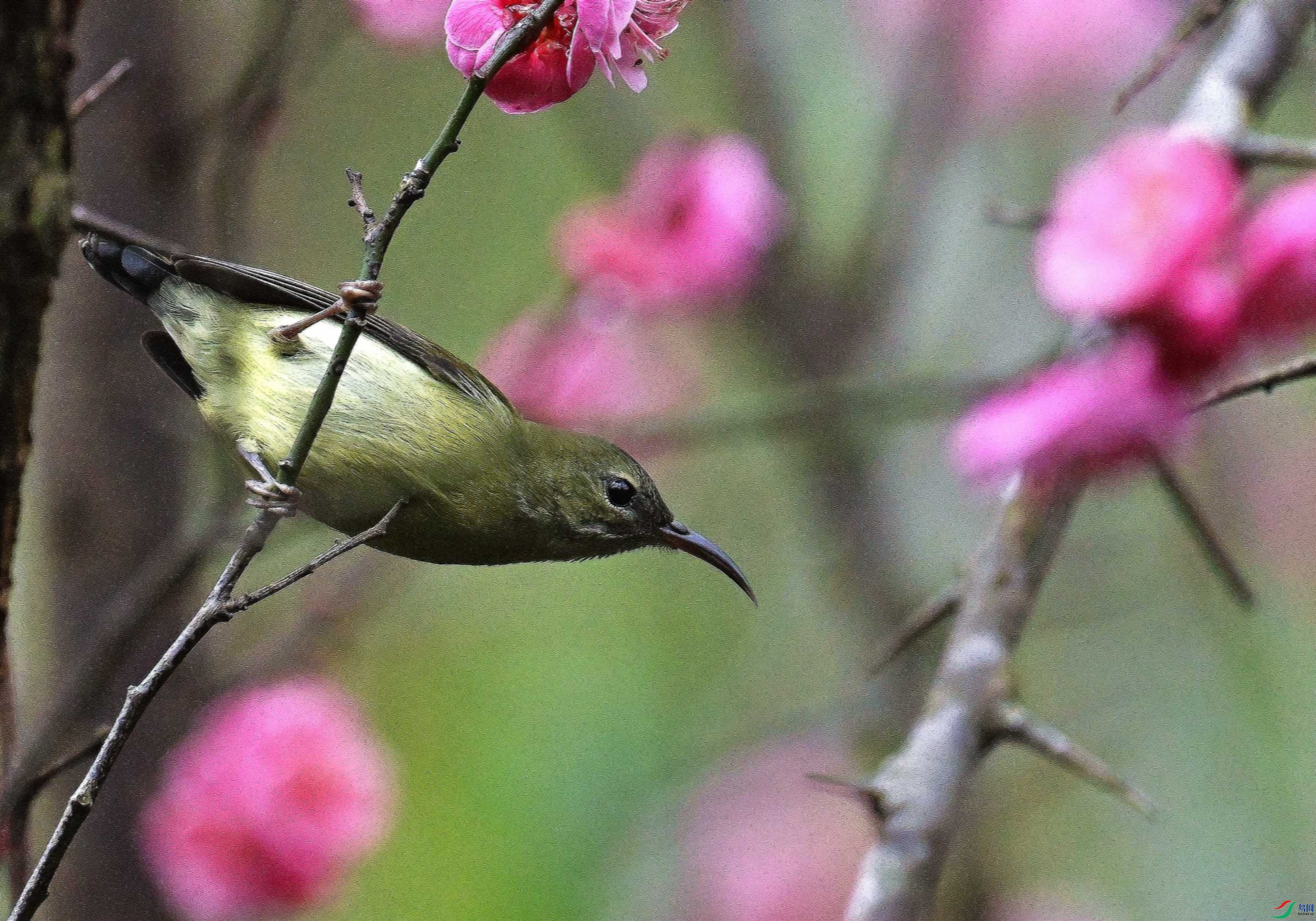 DSC_0823.jpg