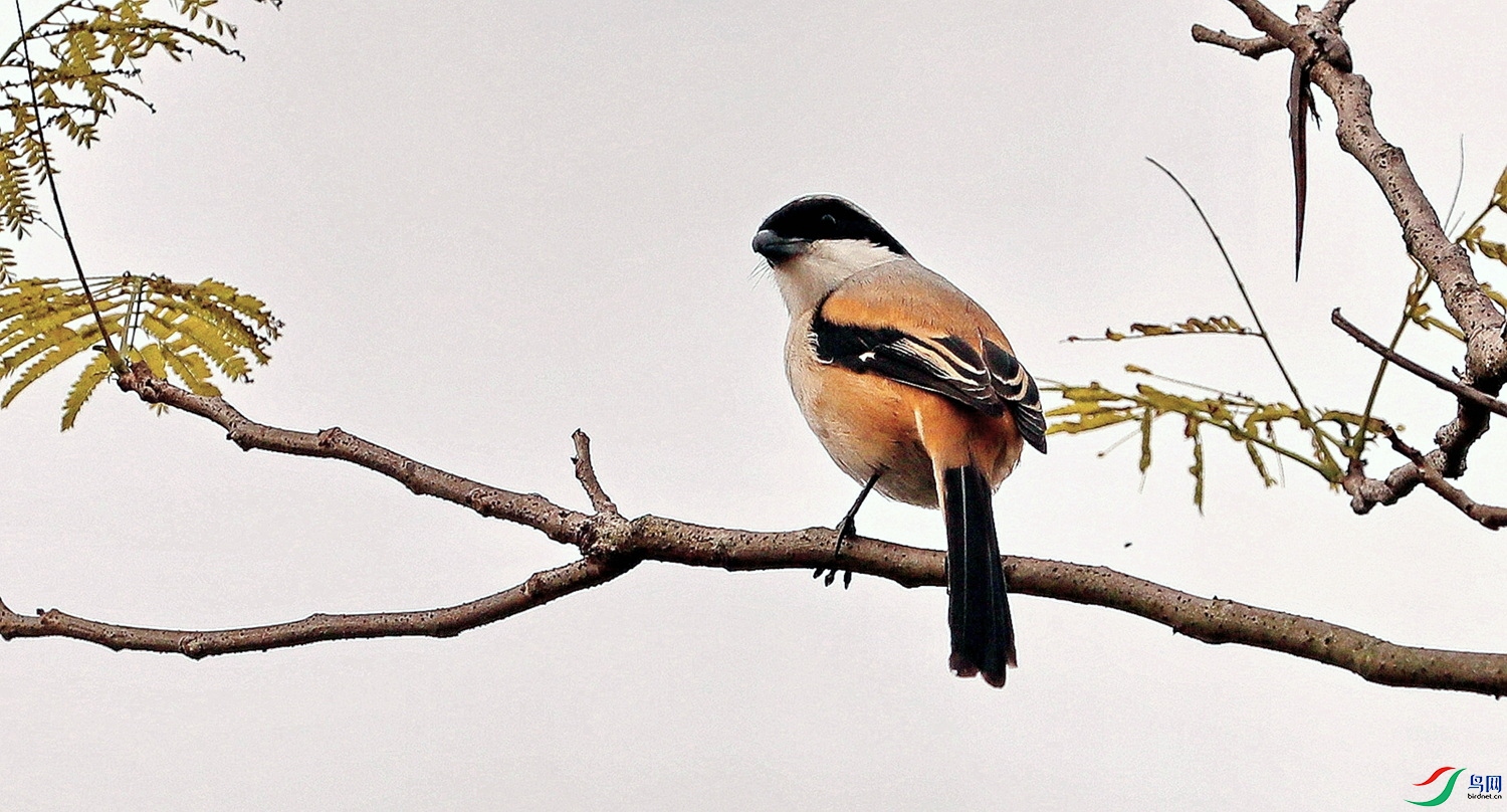 BK2A9258.JPG