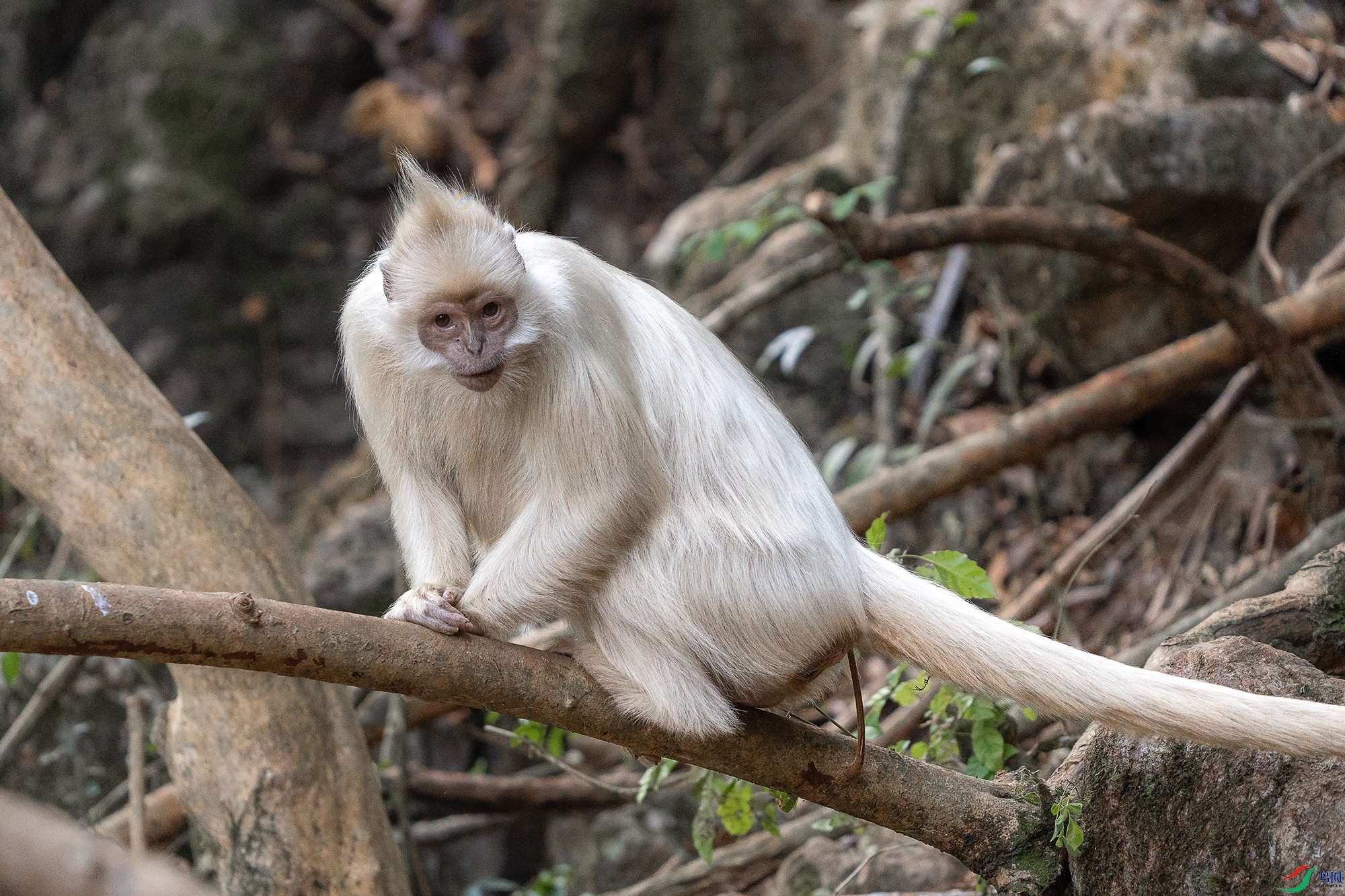 DSC07997 ����22 ����222222222222222222.jpg