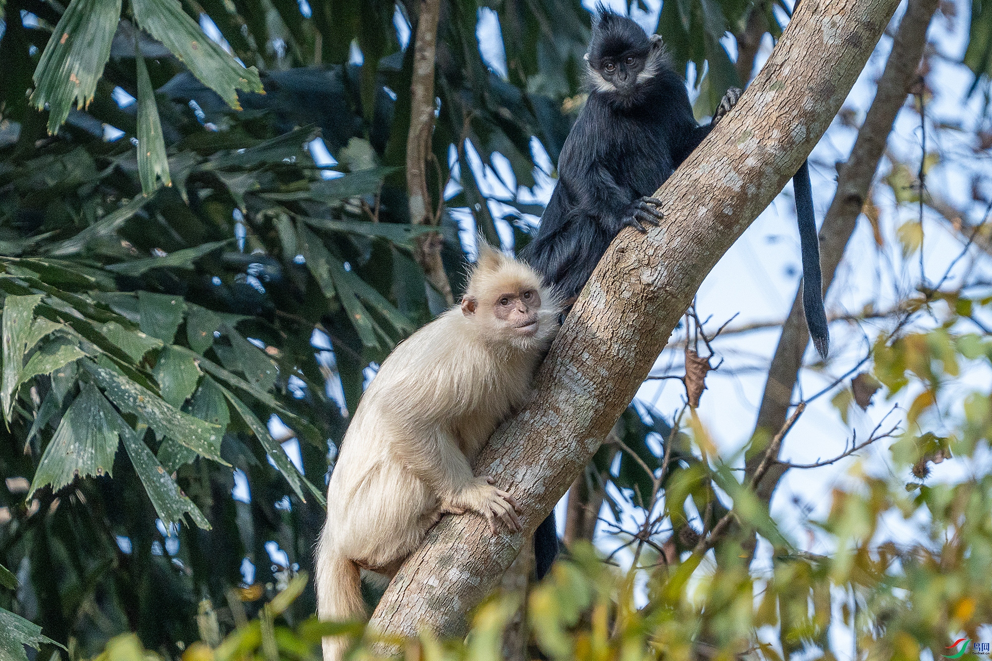 DSC06883 ����11.jpg