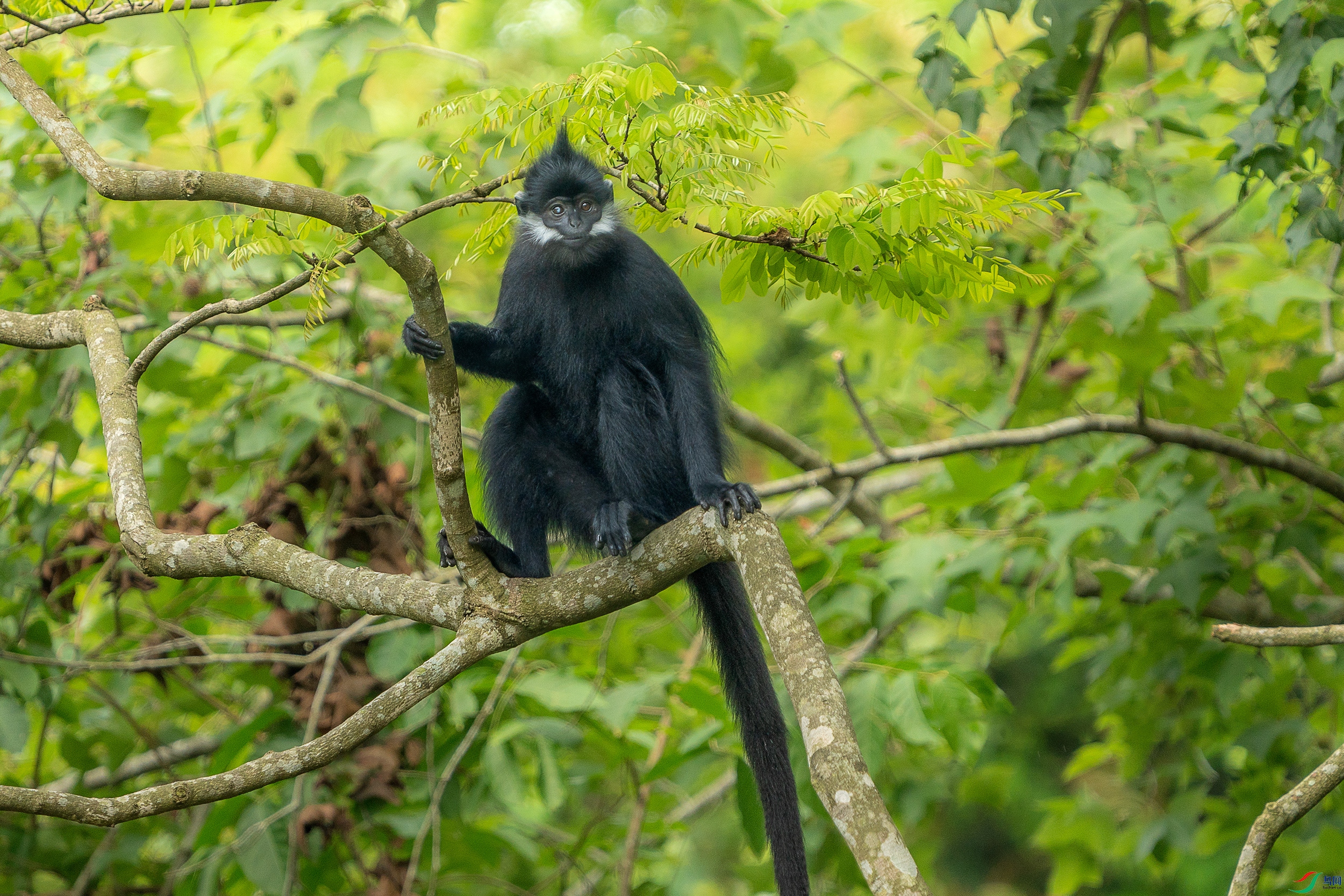 DSC00026 ����aaa11.jpg