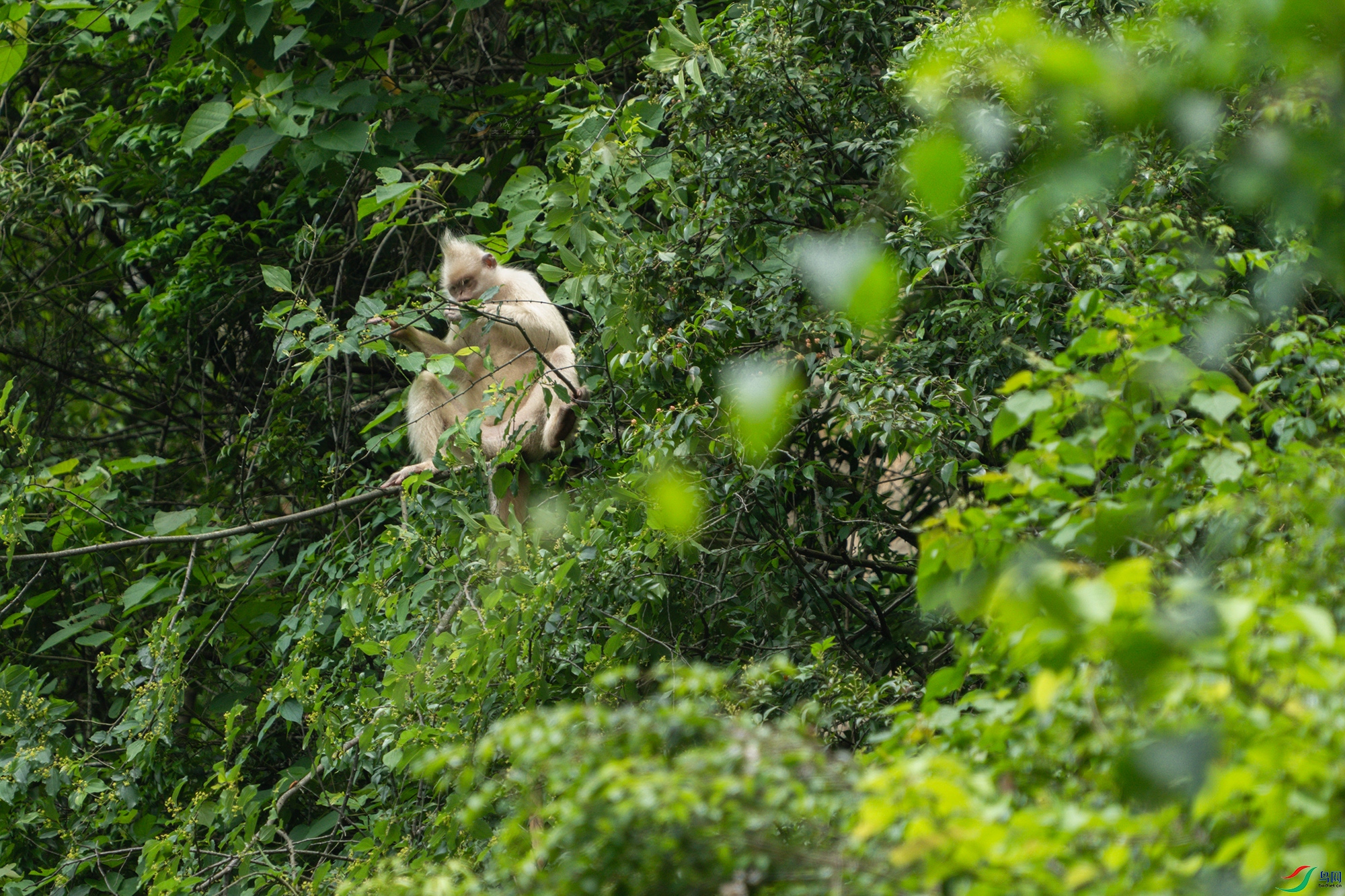 DSC00049 ����a111.jpg