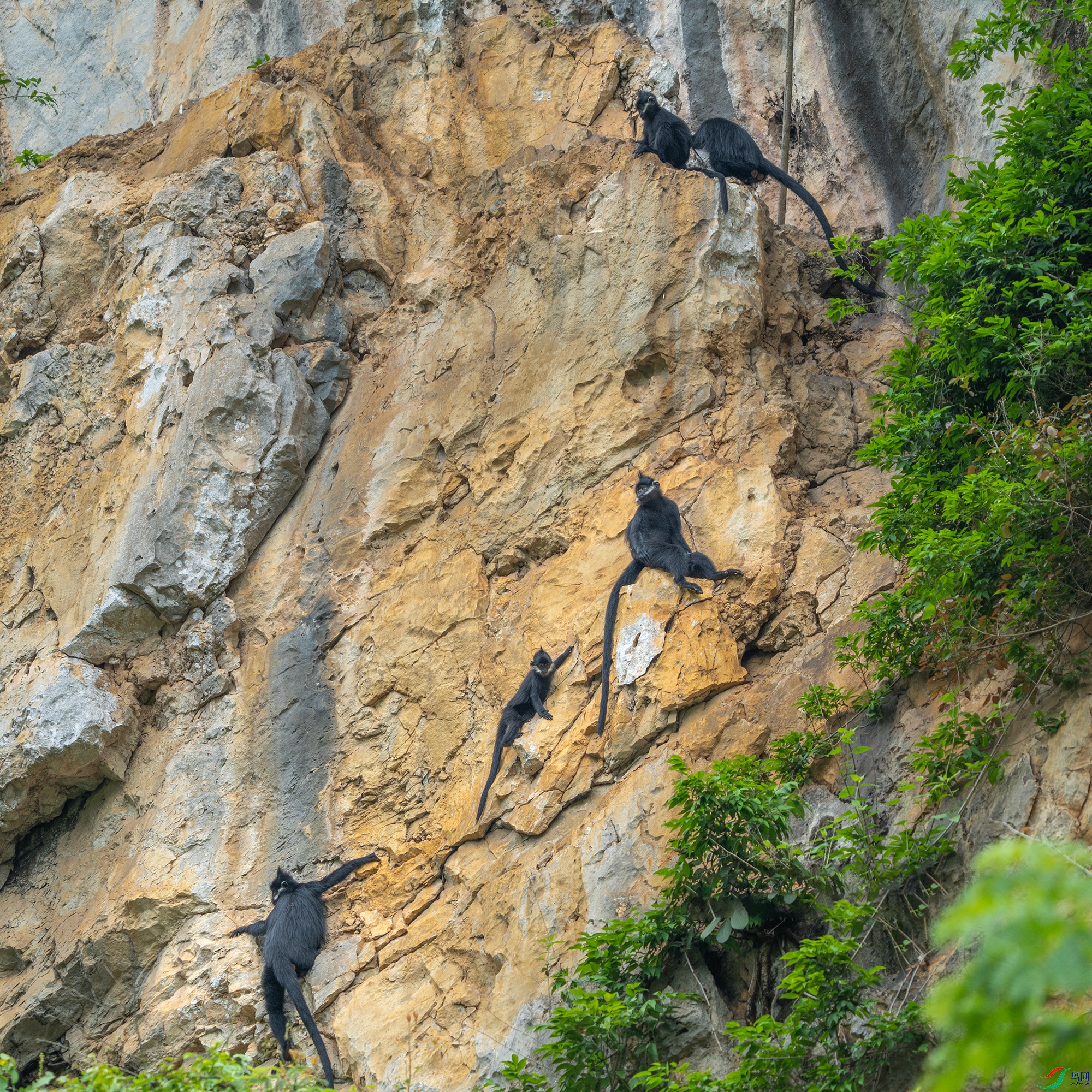 DSC00063 ����a11.jpg