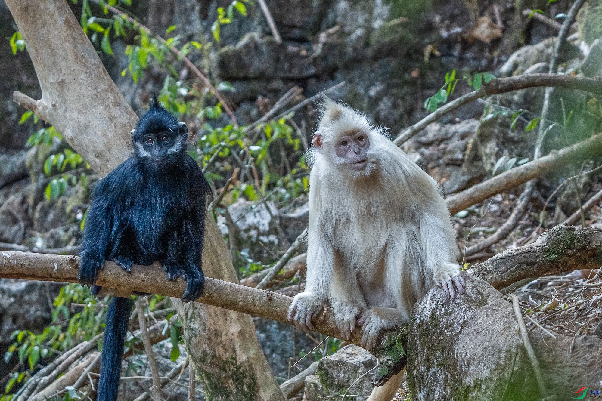 DSC07750 ����11.jpg