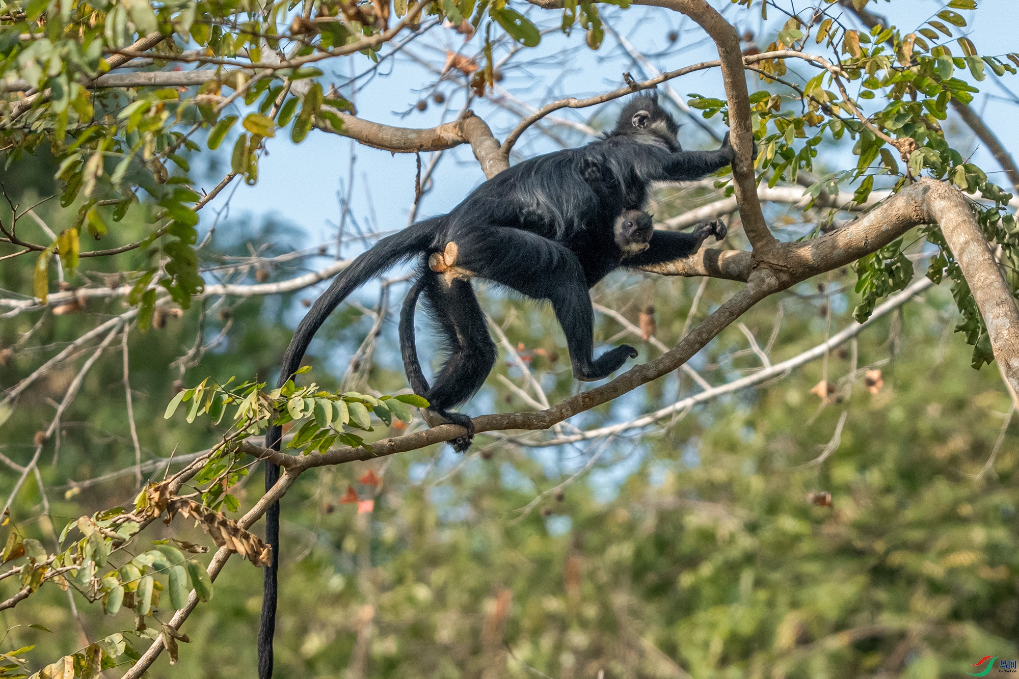 DSC06824 ����11.jpg