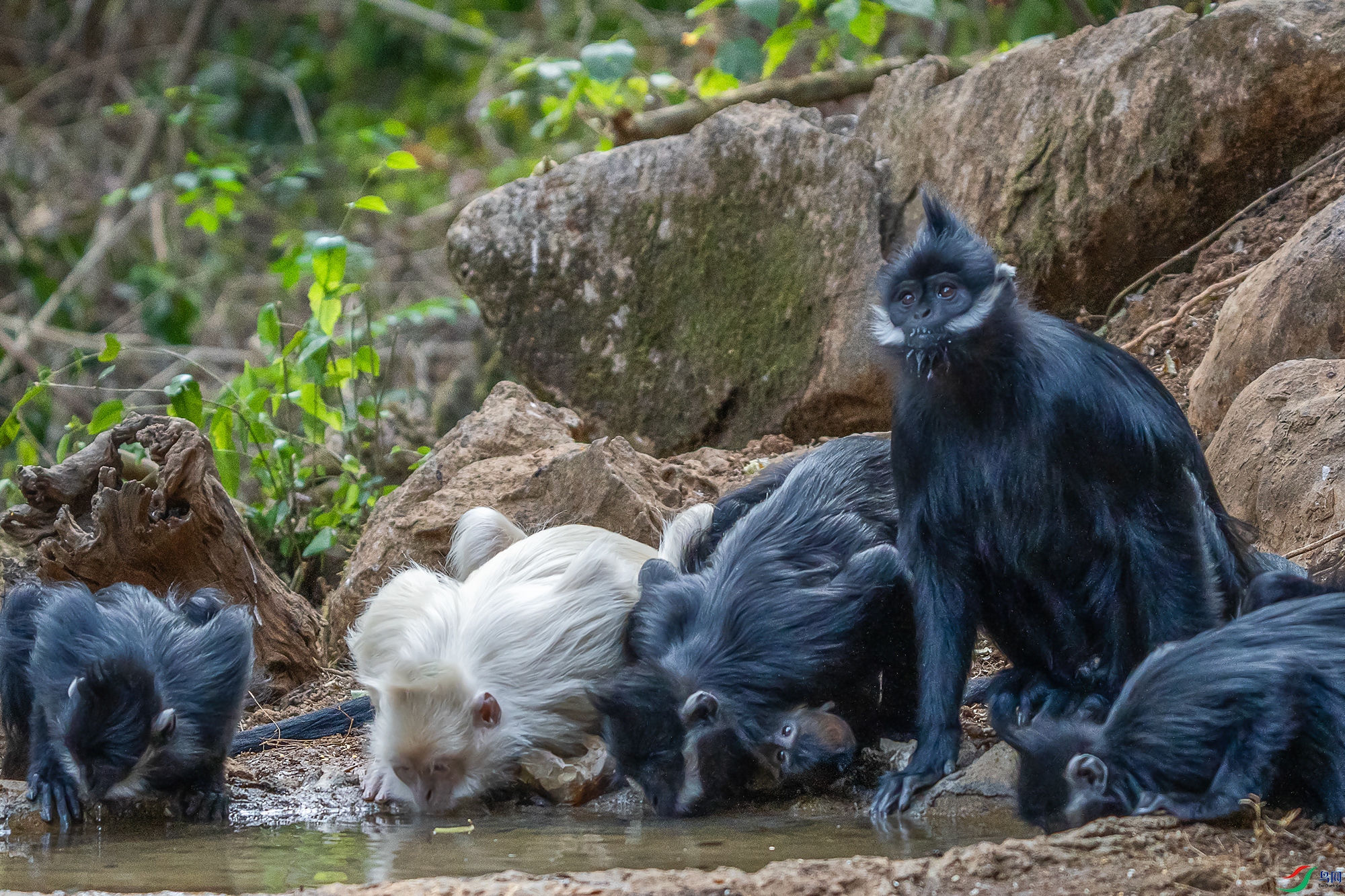 DSC07830 ����a11.jpg