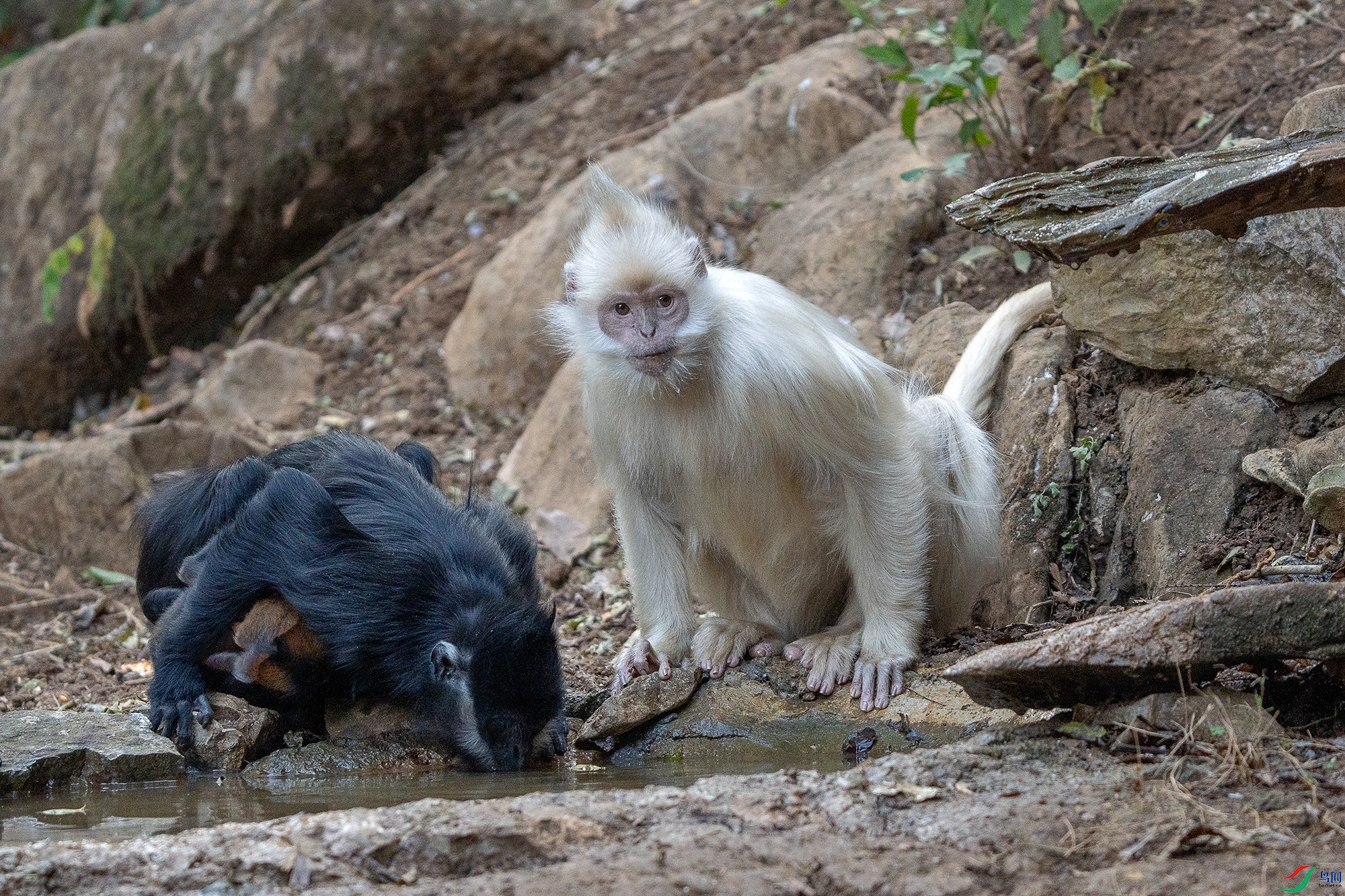 DSC08118 ����22.jpg