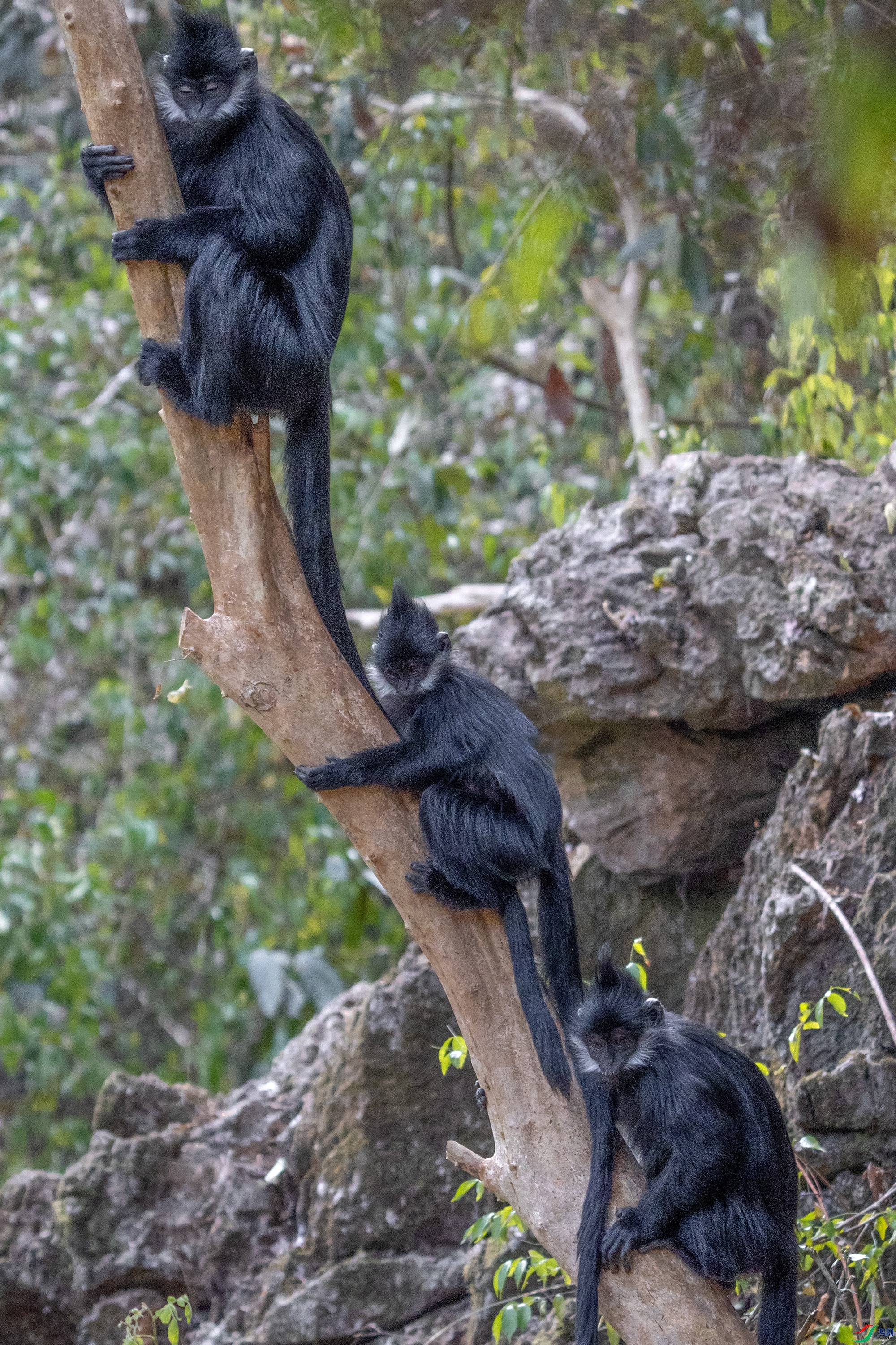 DSC07998 ����11.jpg