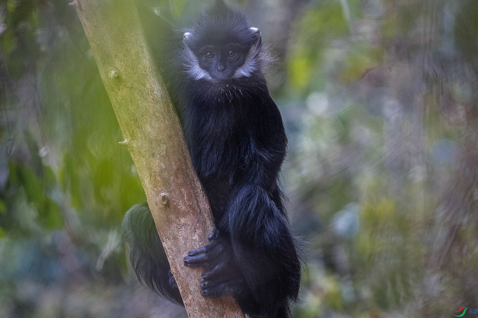 DSC08451 ����11.jpg