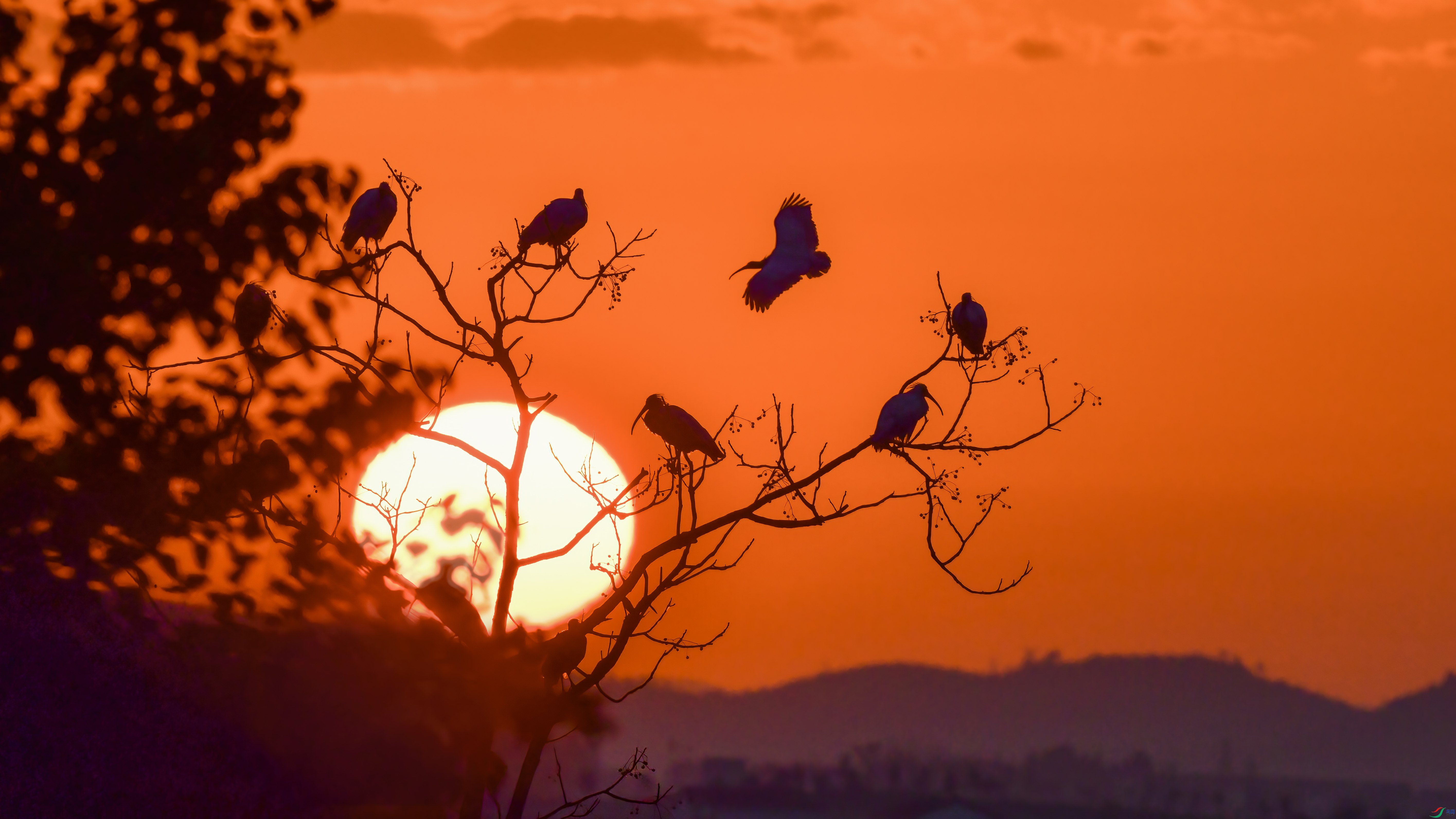 DSC_6552-��ͼ_conew2.jpg