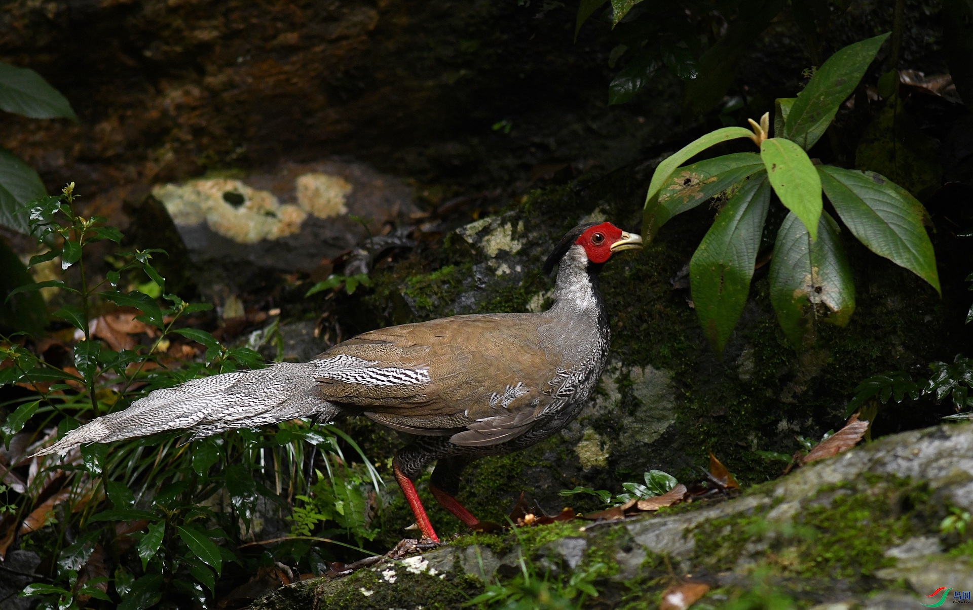 DSC_6386.jpg