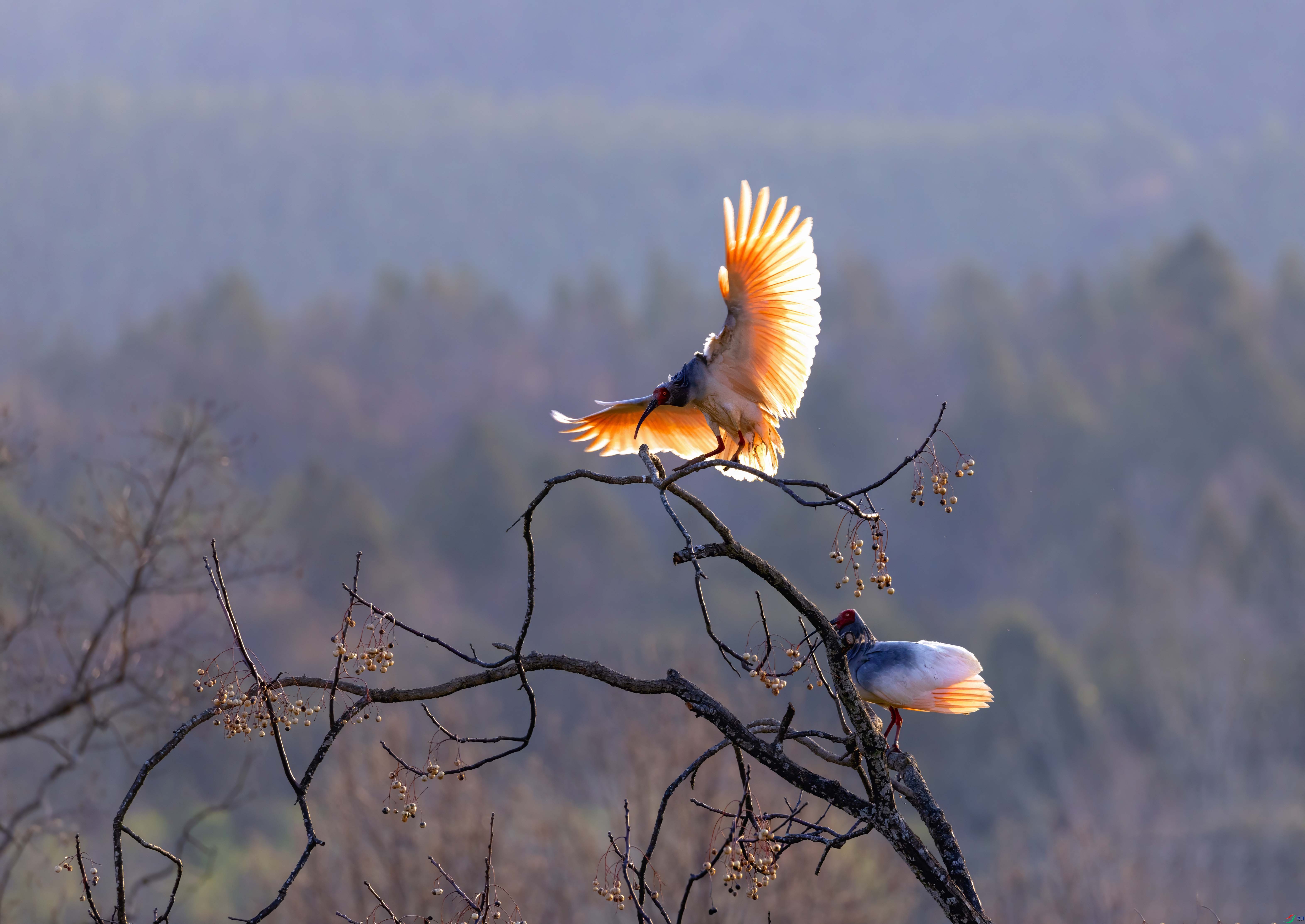 5N9A7851 ���� 2.jpg