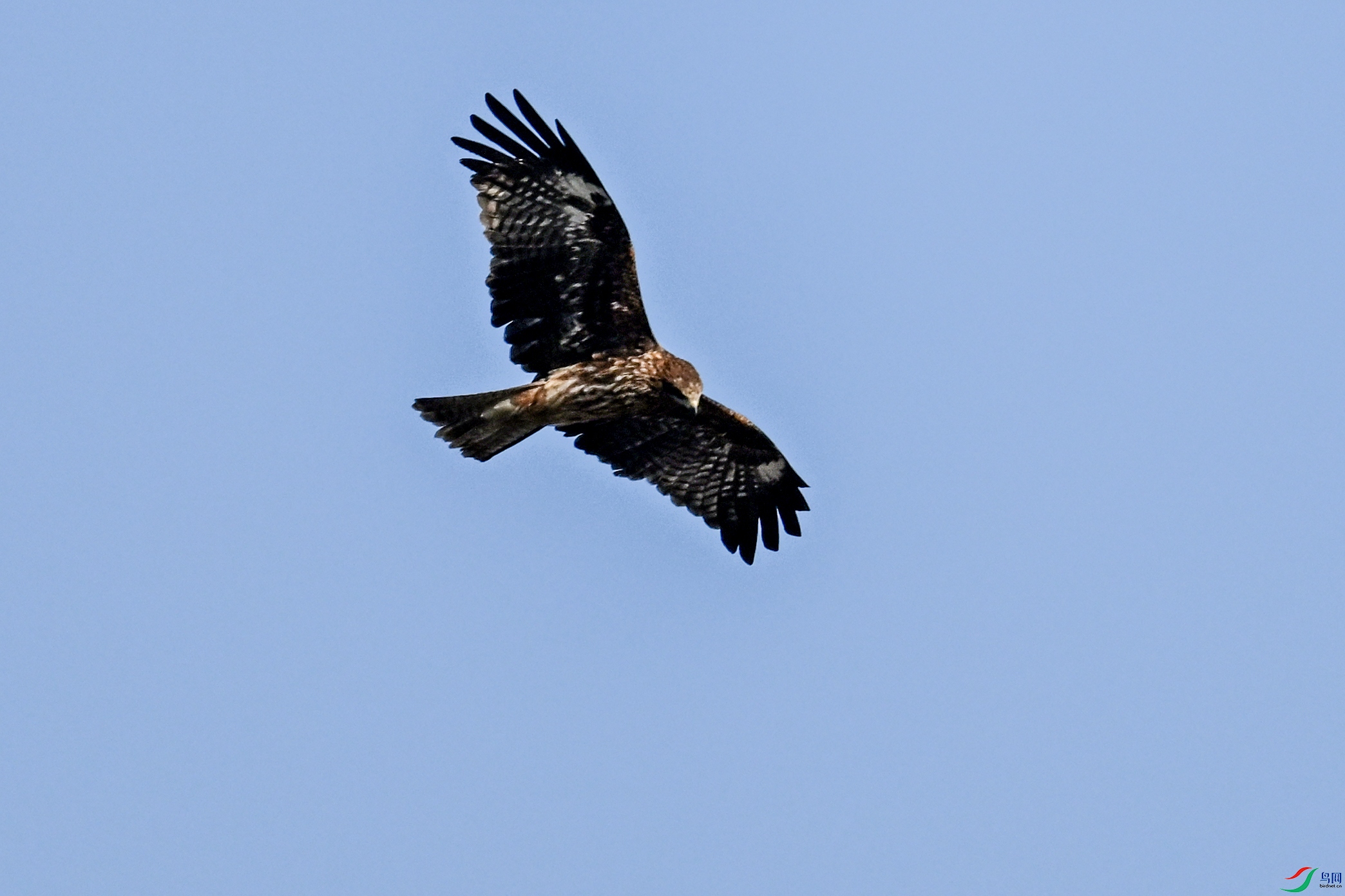 DSC_8508.JPG