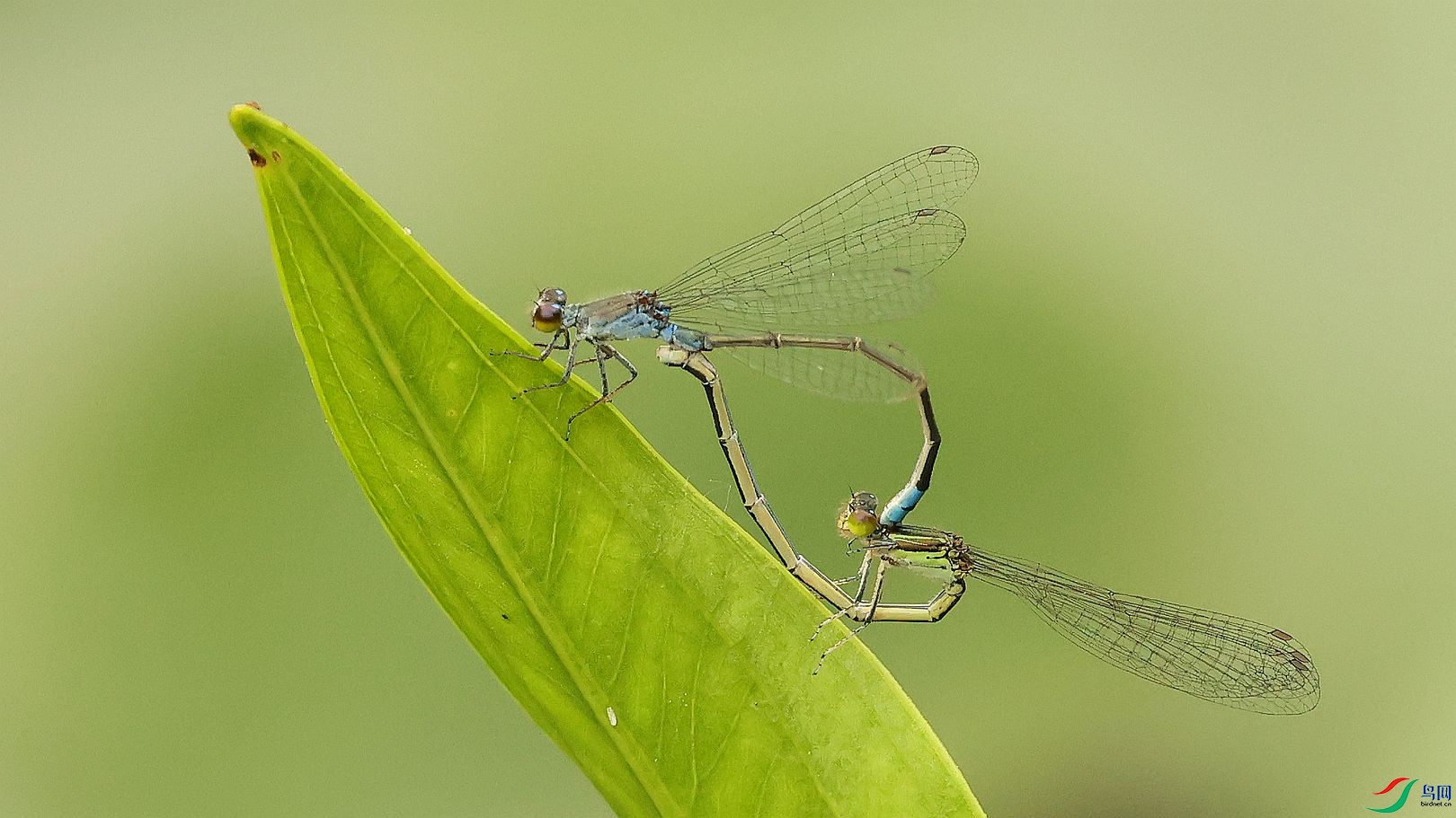 3B6A5906_����.jpg