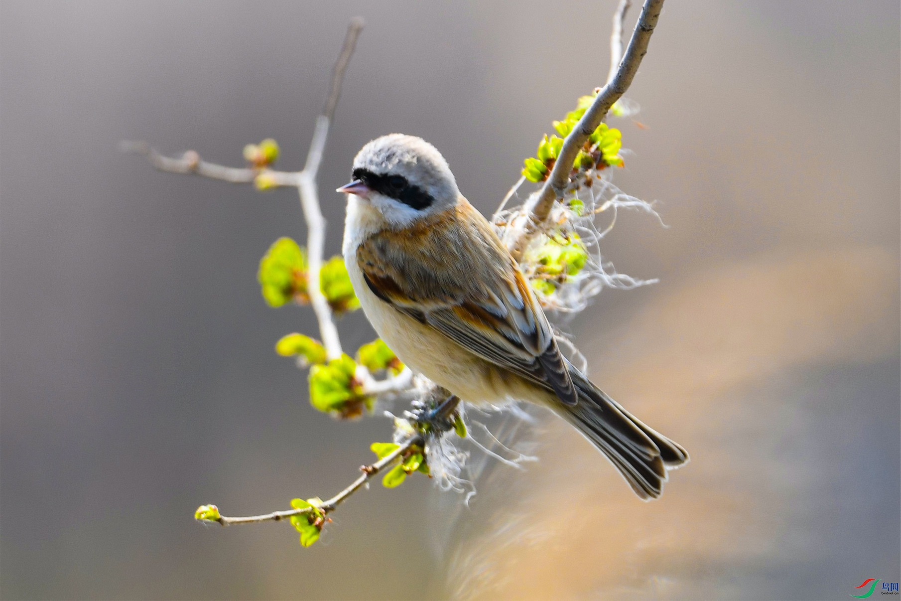 DSC_1163 ����.jpeg