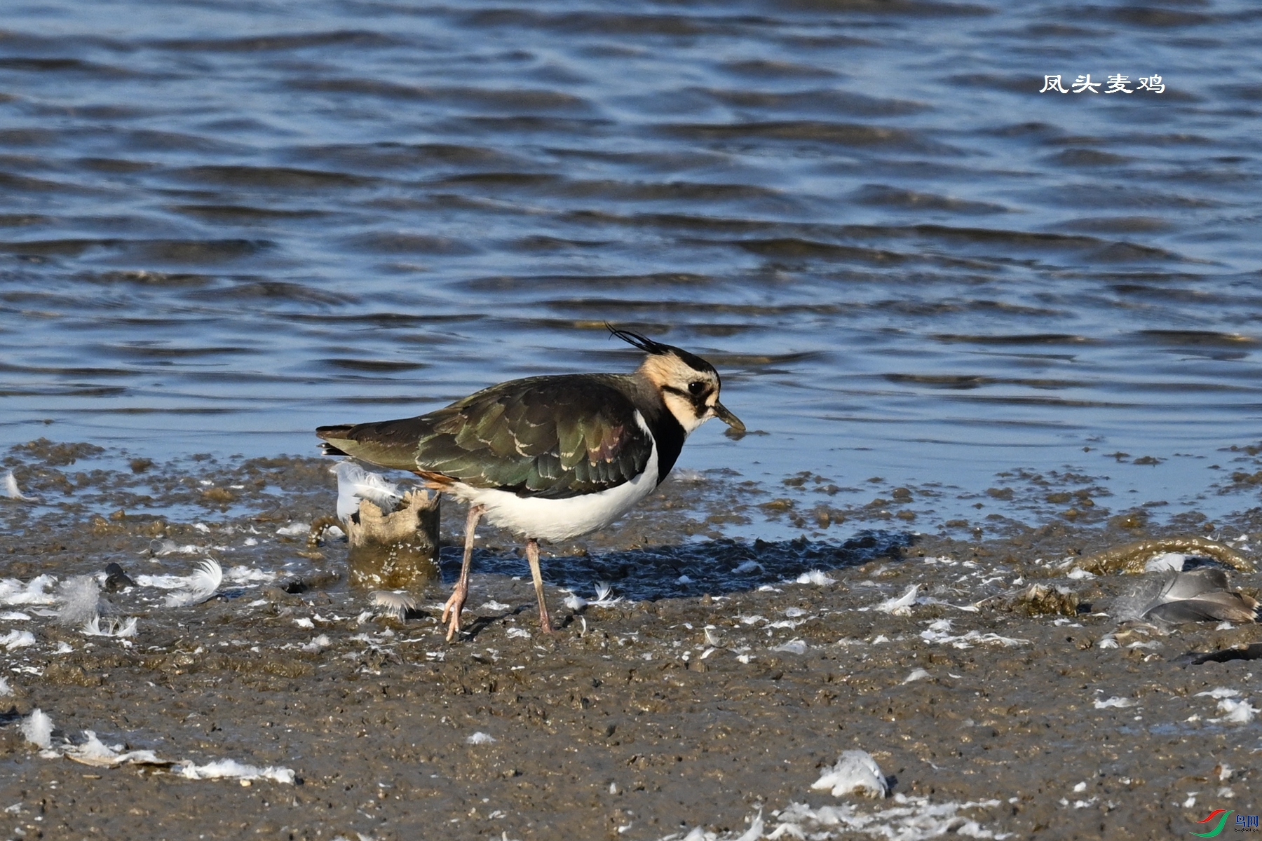 DSC_8632.JPG