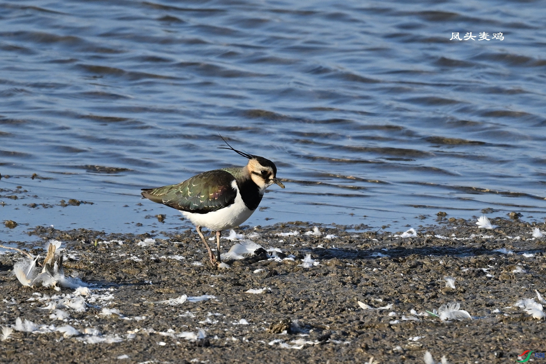 DSC_8621.JPG