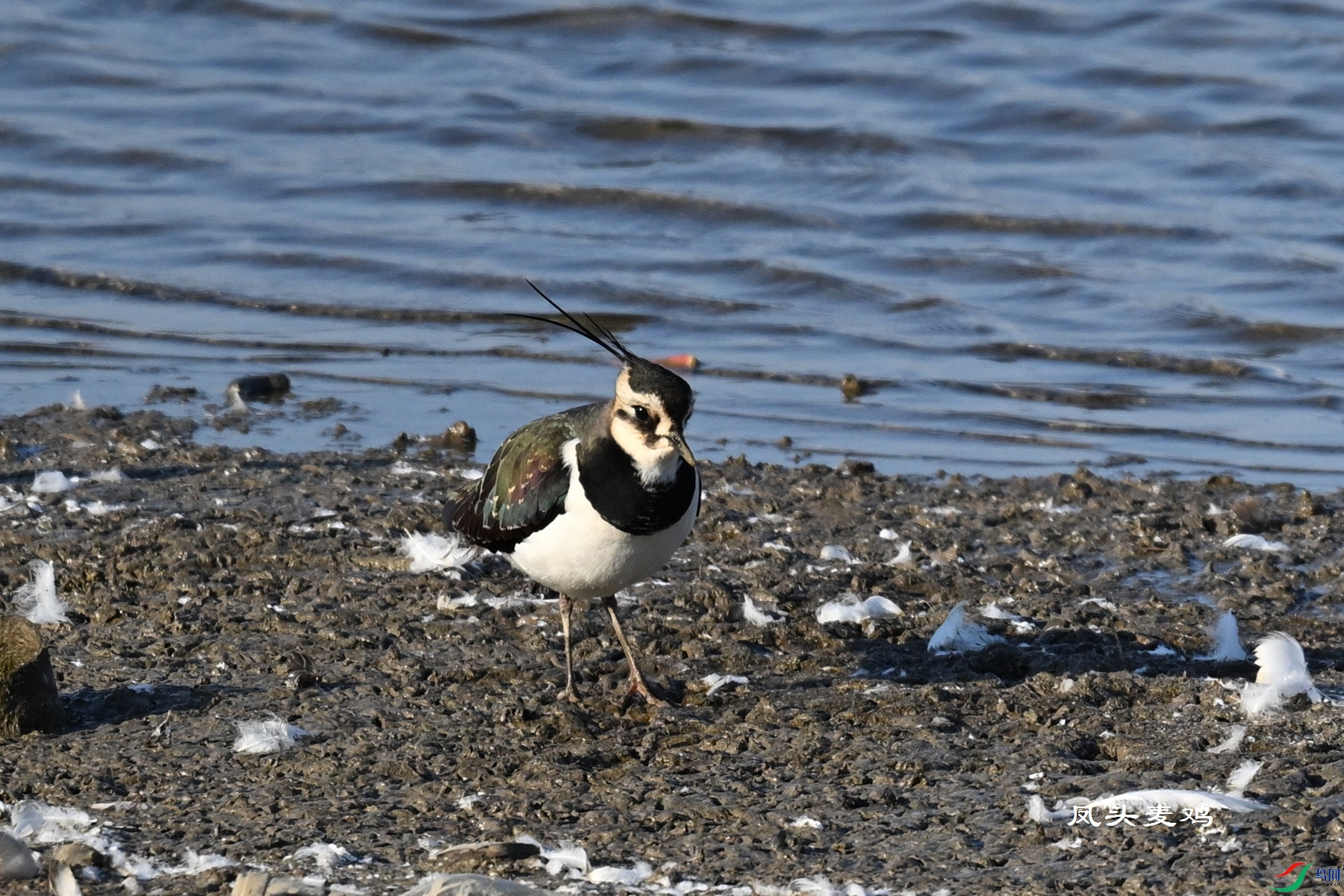 DSC_8601.JPG